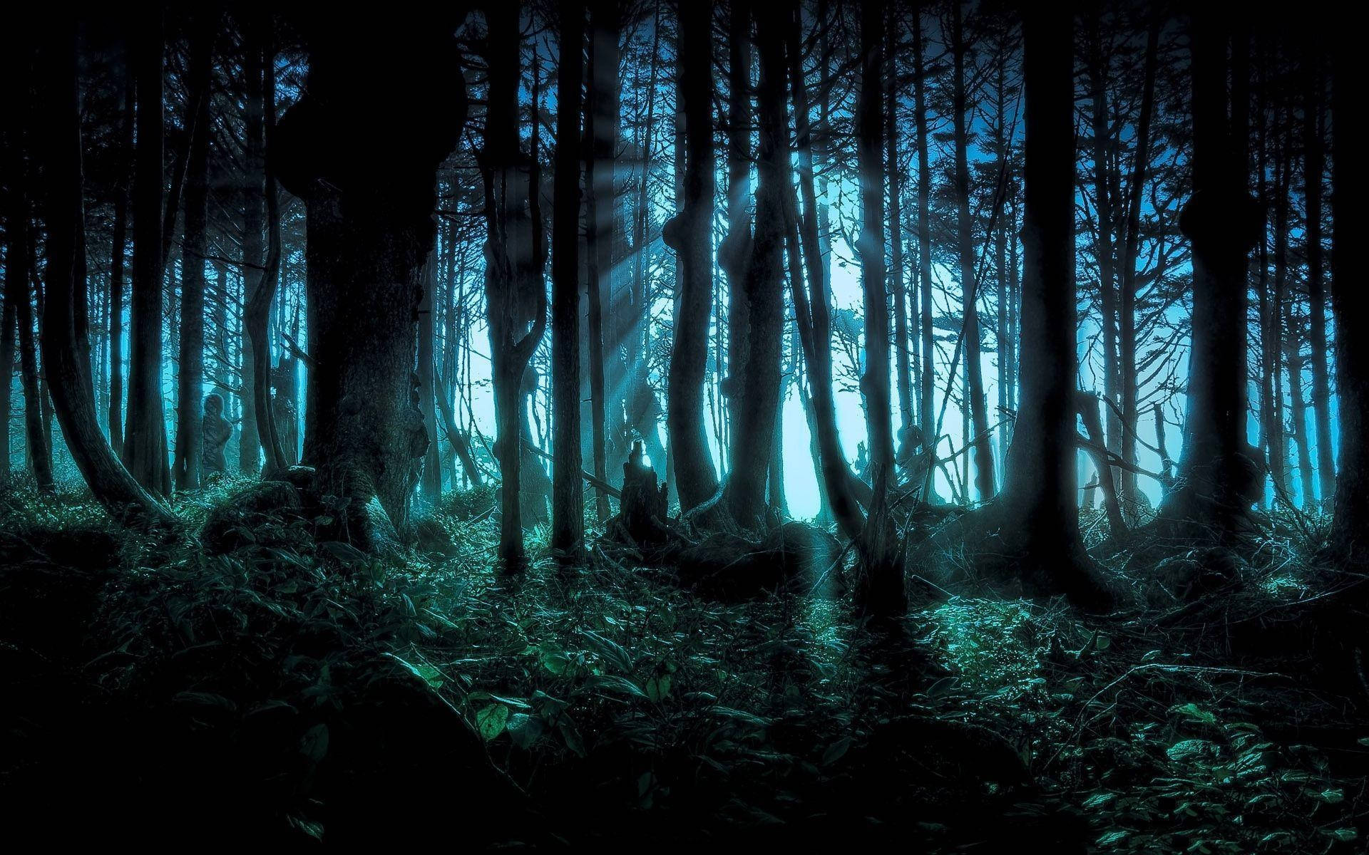 Enigma Unearthed: A Mysterious Journey into the Creepy Forest Wallpaper