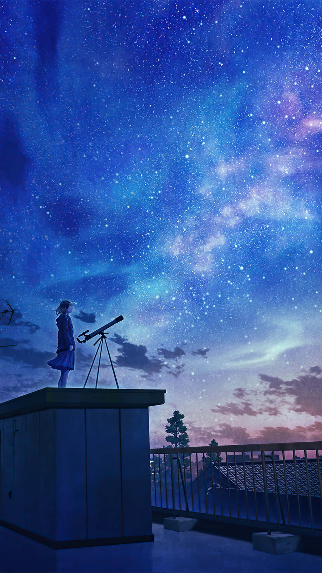 A Person Is Standing On A Roof Looking At The Stars Wallpaper