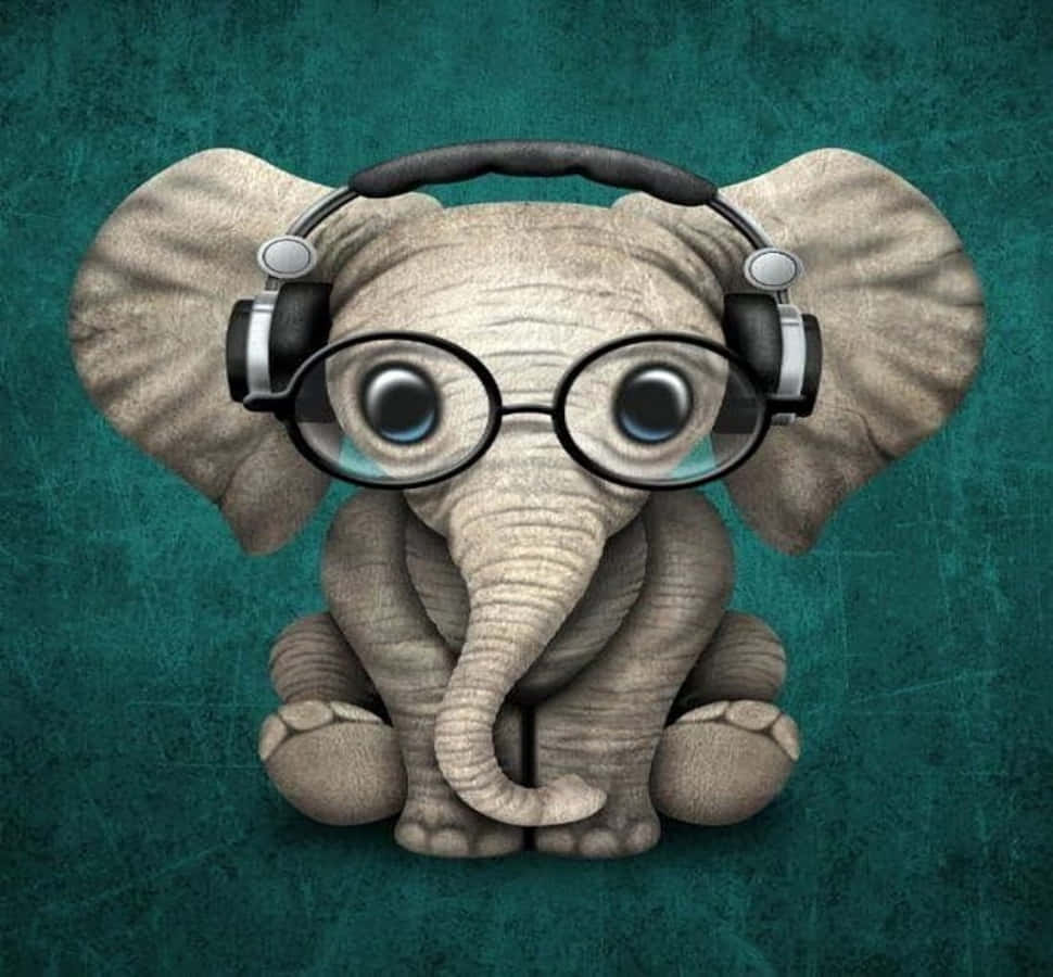 Cute Elephant Pictures Wearing Eyeglass