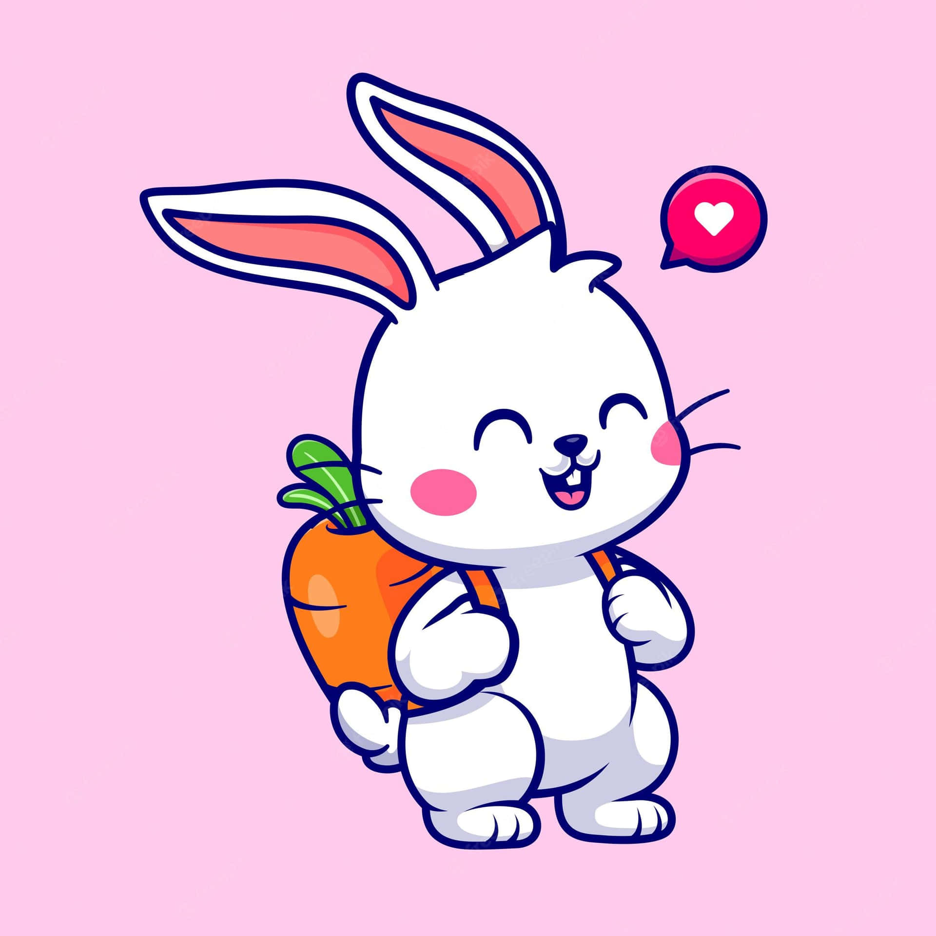 Cute Animated Rabbit Pictures