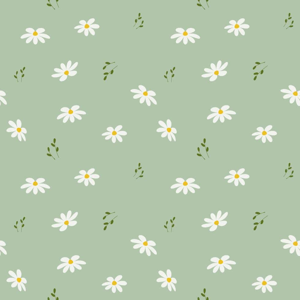 Small Fern Plants And Daisies Background