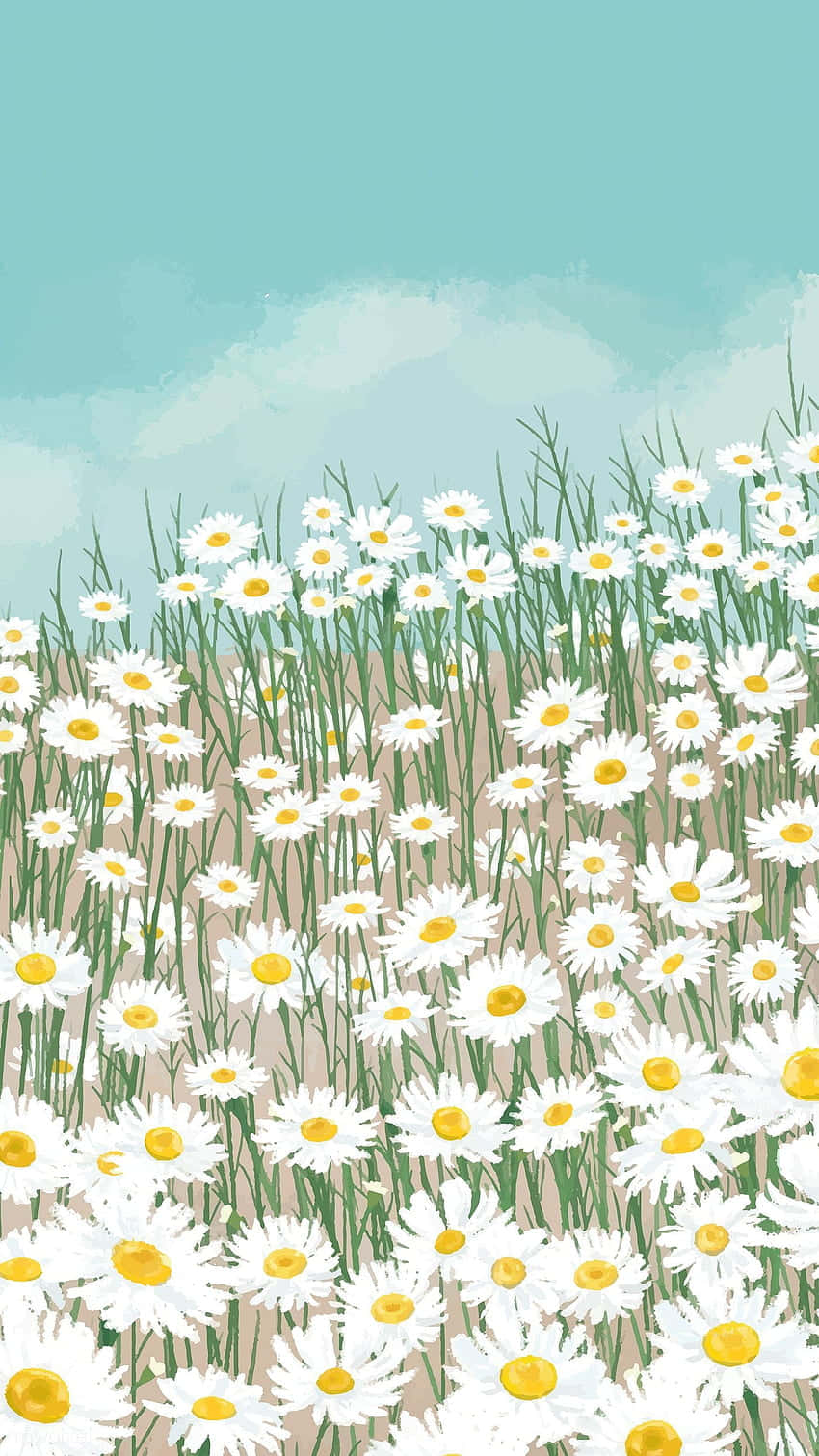 Field Of Daisies Background