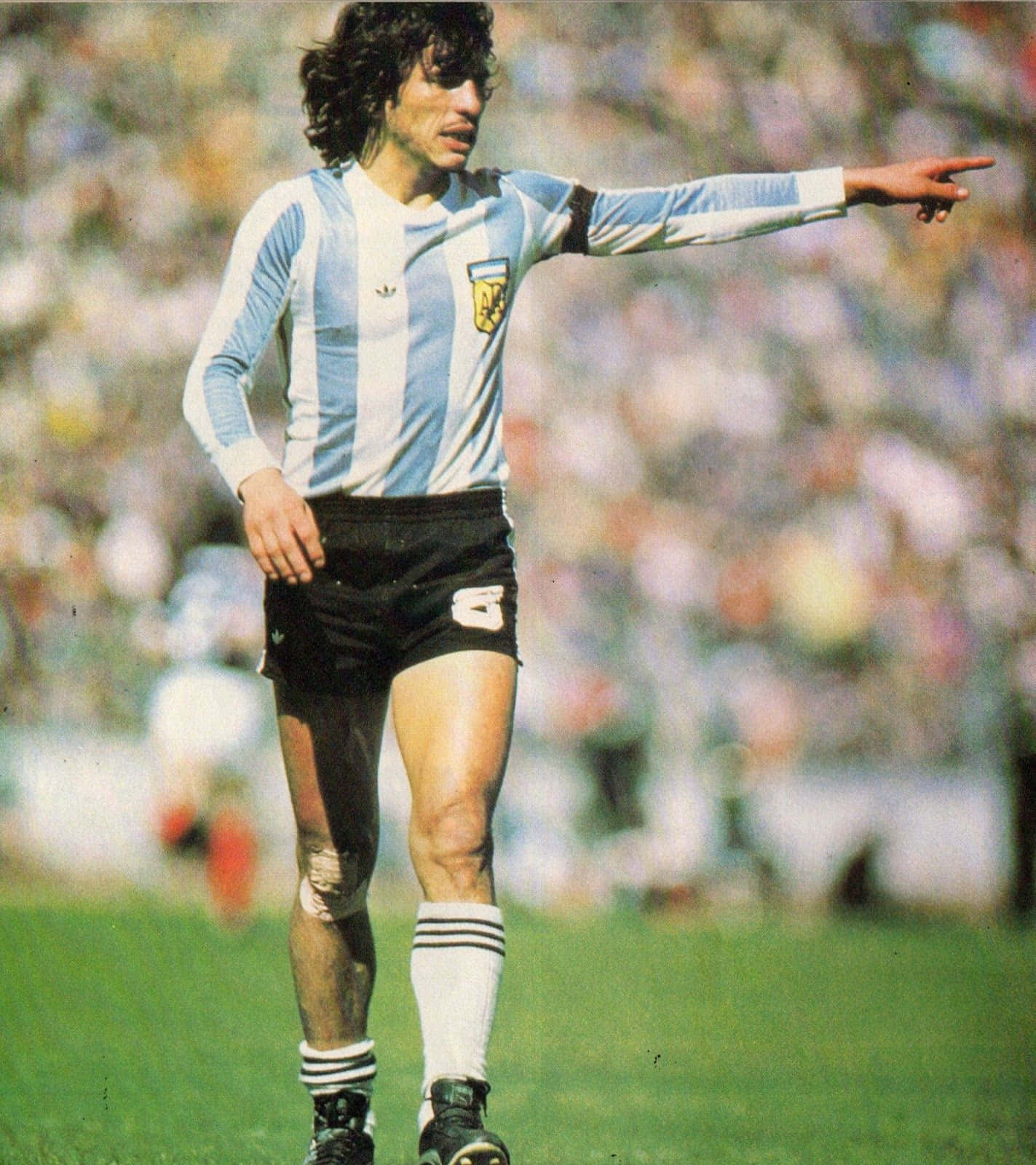 Daniel Passarella Argentina Football Team Captain Wallpaper
