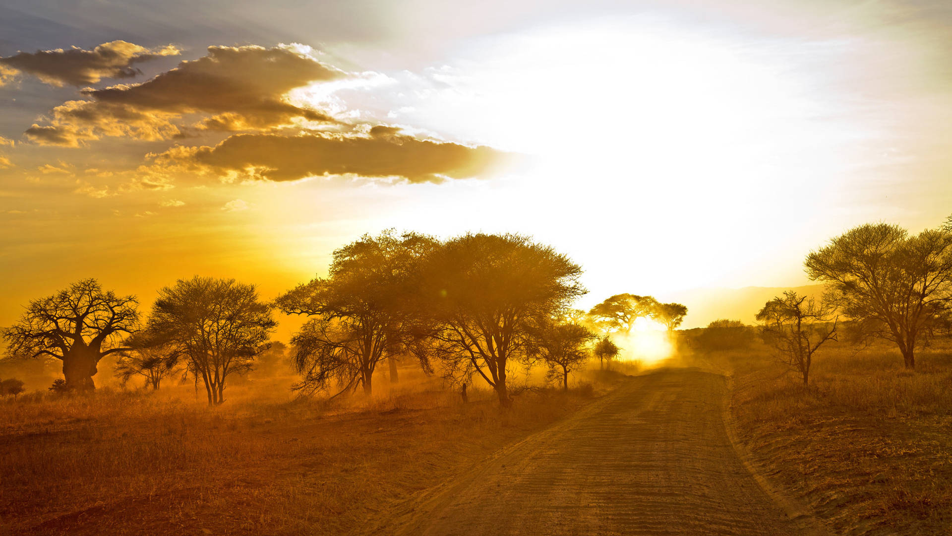 Desert Road In Africa 4K Wallpaper