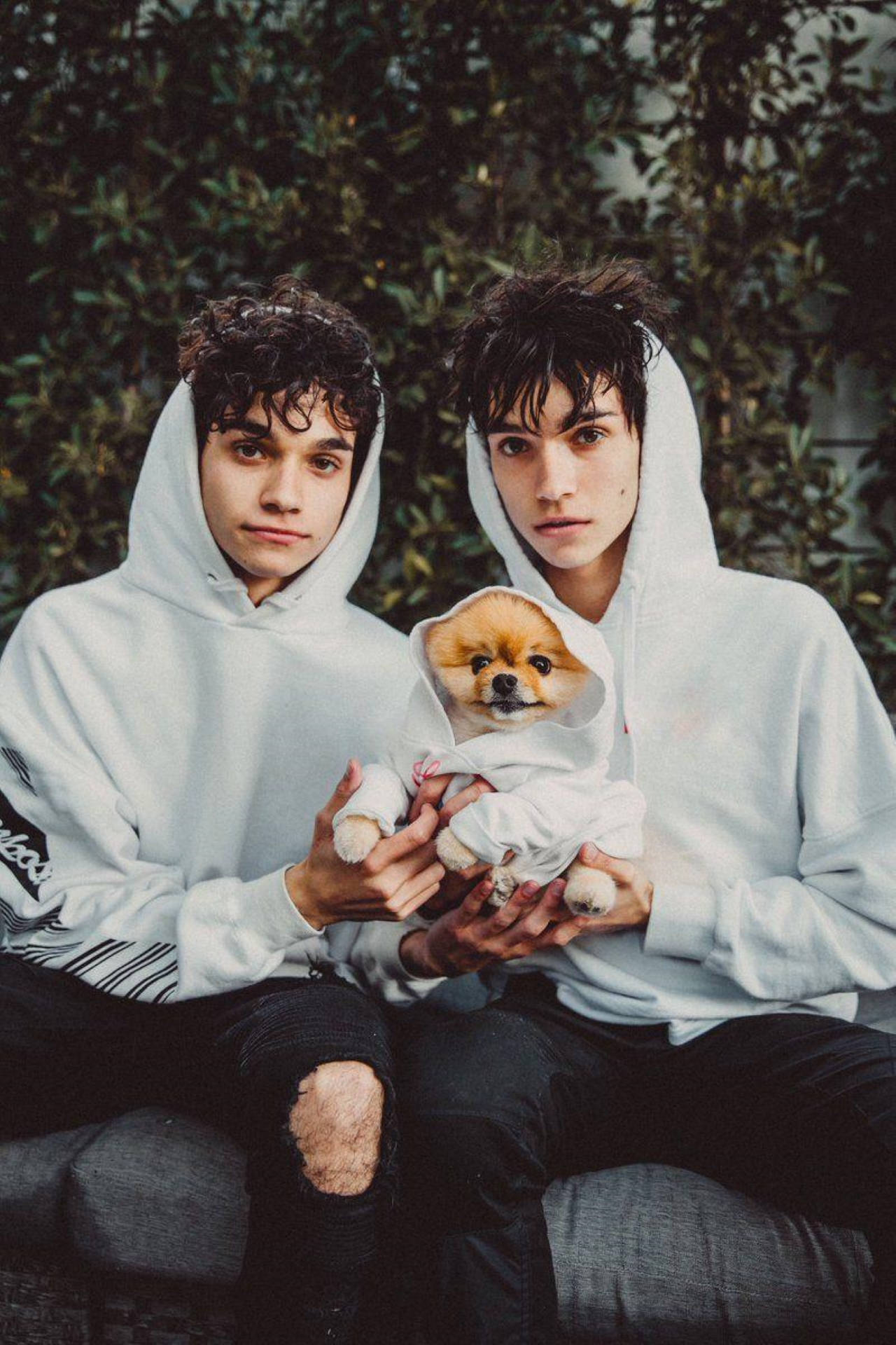 Dobre Brothers Twins With A Puppy Wallpaper