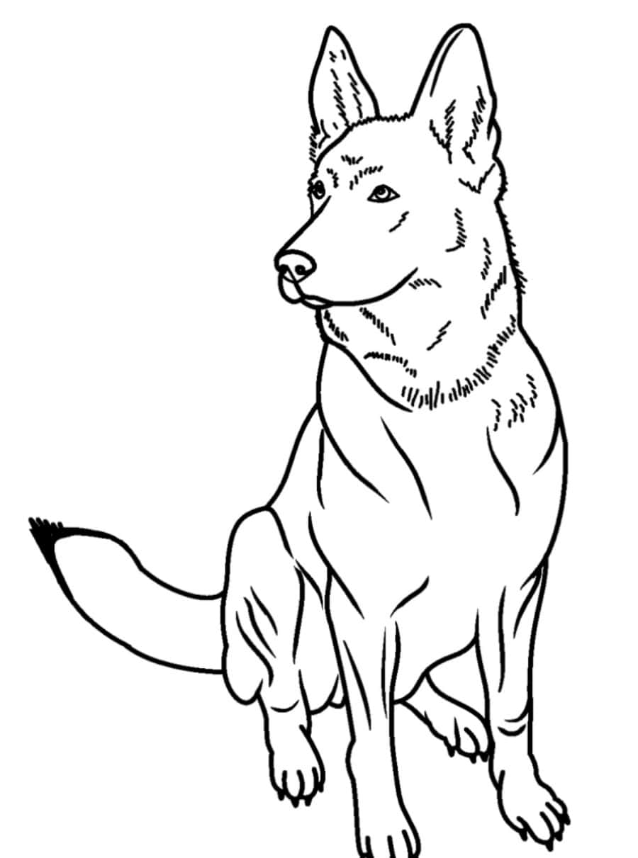 Playful Pooch Coloring Picture