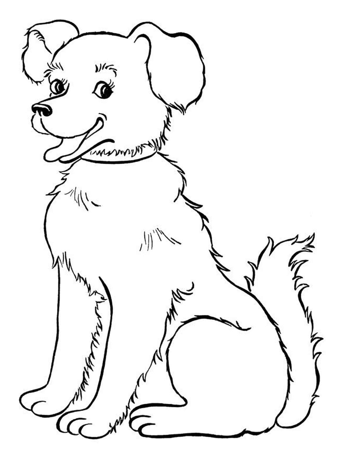 Pet Dog Coloring Page Picture