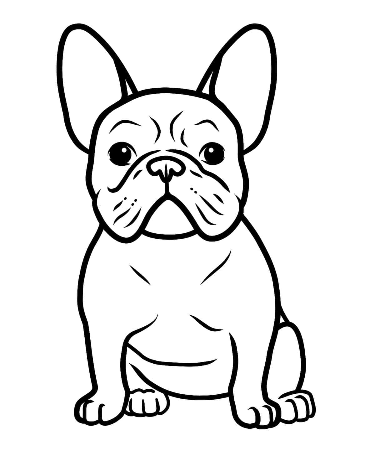 French Bulldog Coloring Page Picture
