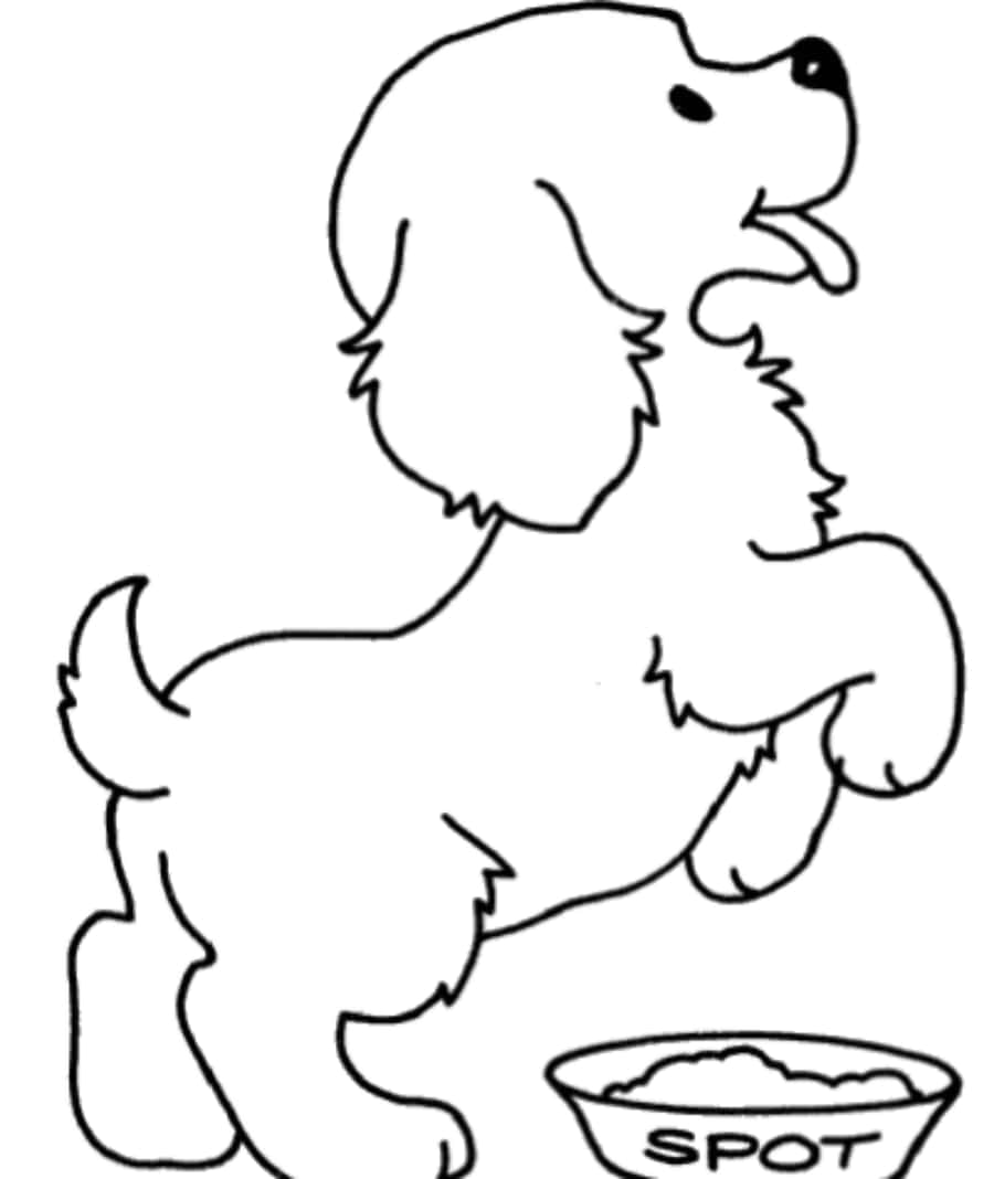 Hungry Dog Food Coloring Page Picture