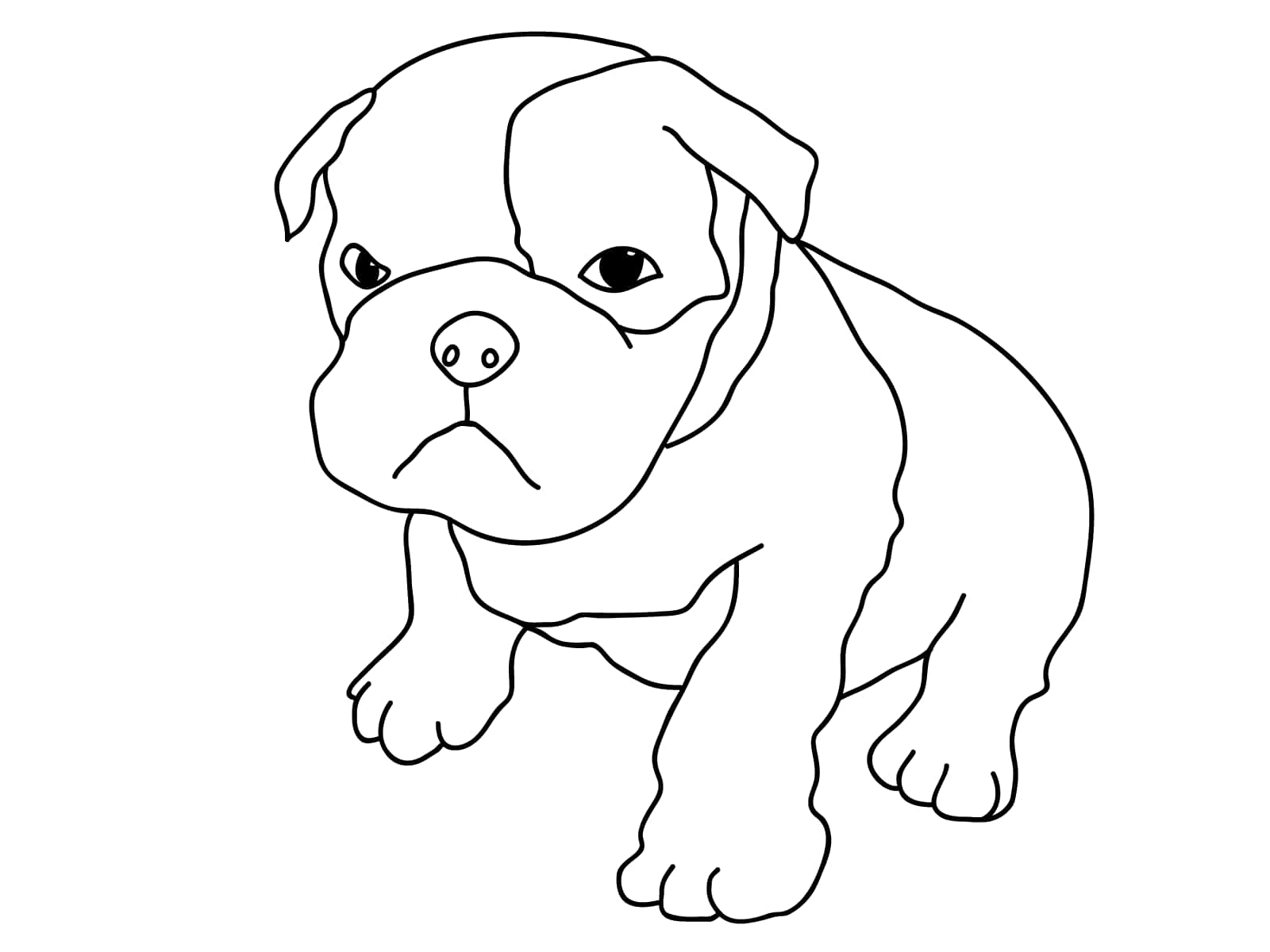 Cute Bull Dog Coloring Activity Picture