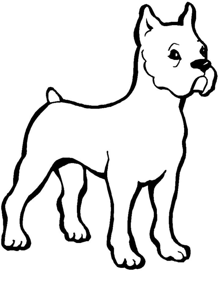 Adorable Dog Ready for Coloring