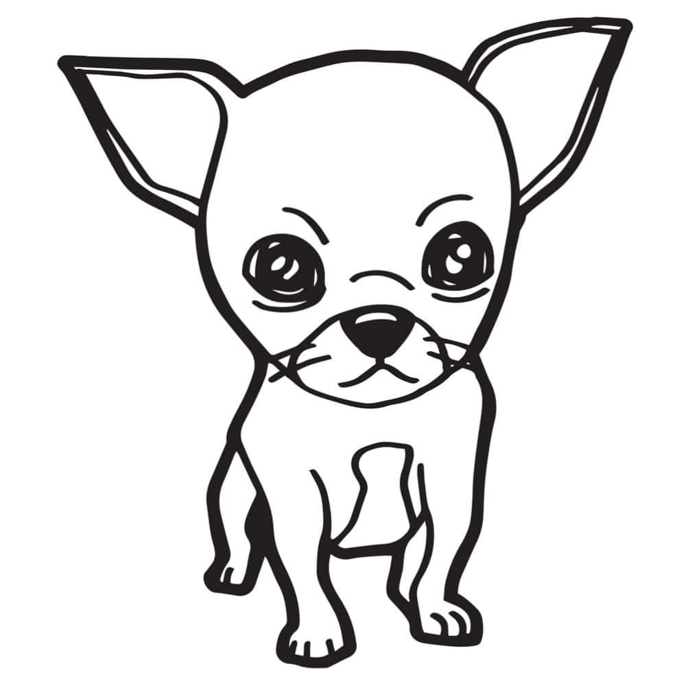 Chihuahua Dog Coloring Page Picture