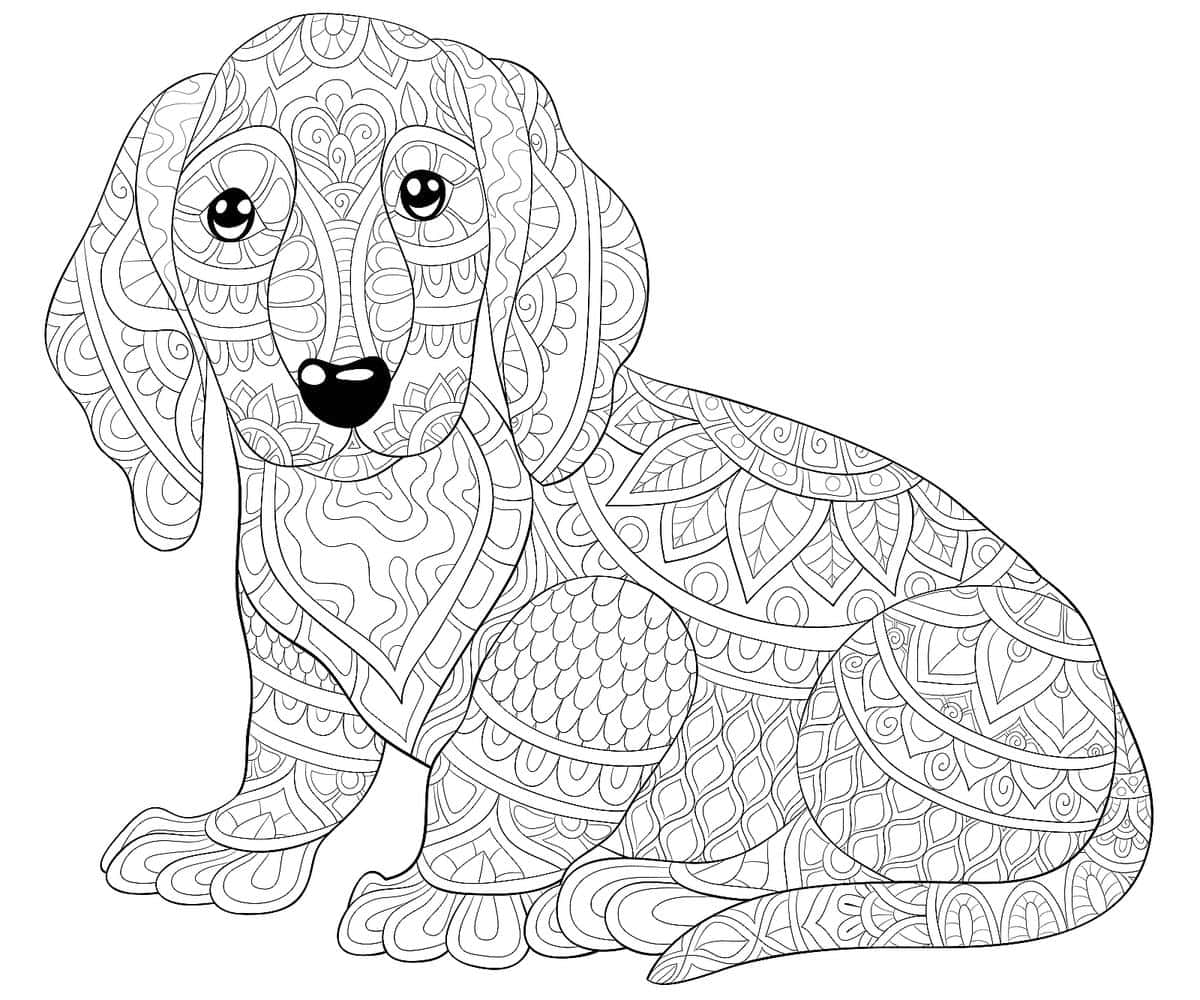 Beagle Dog Pattern Coloring Picture