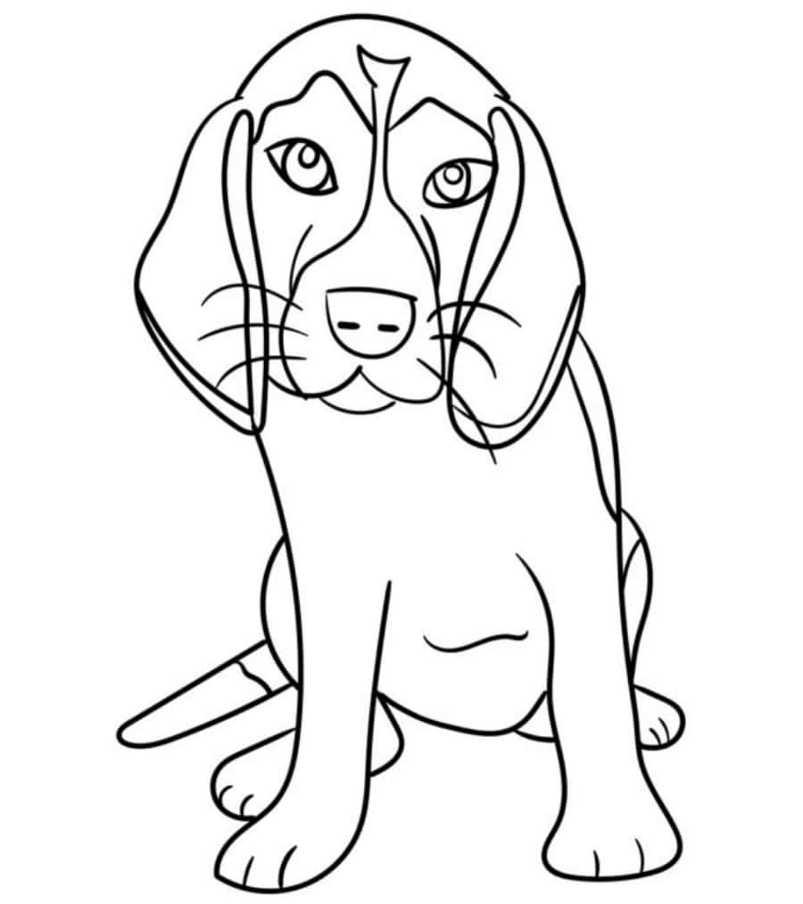Beagle Dog Coloring Page Kindergarten Picture