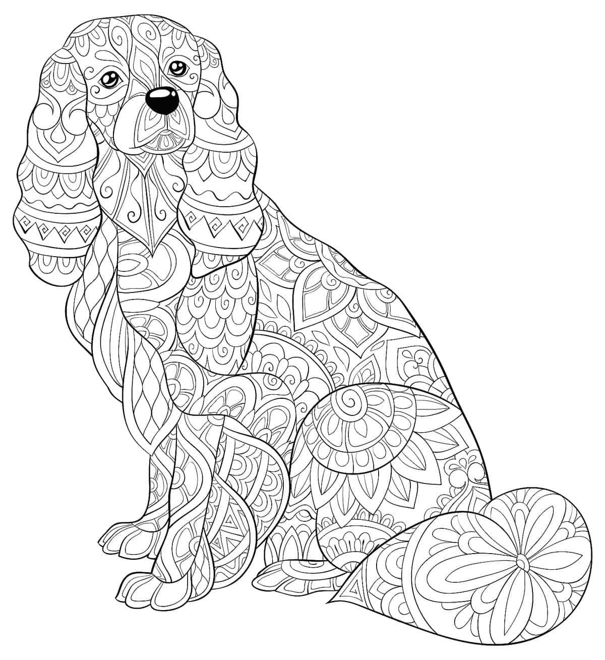 Dog Pattern Coloring Page Picture