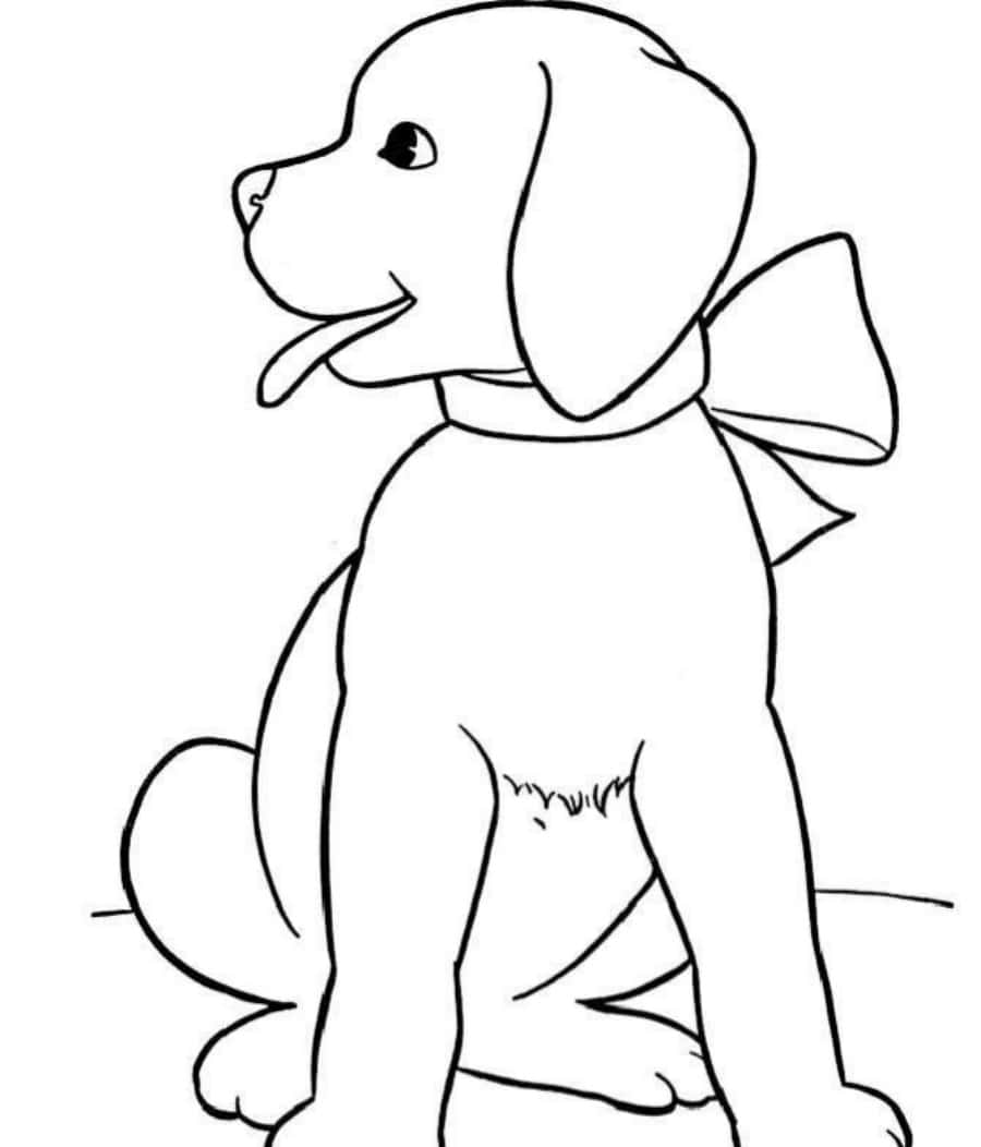 Cute Dog Bow Coloring Page Picture