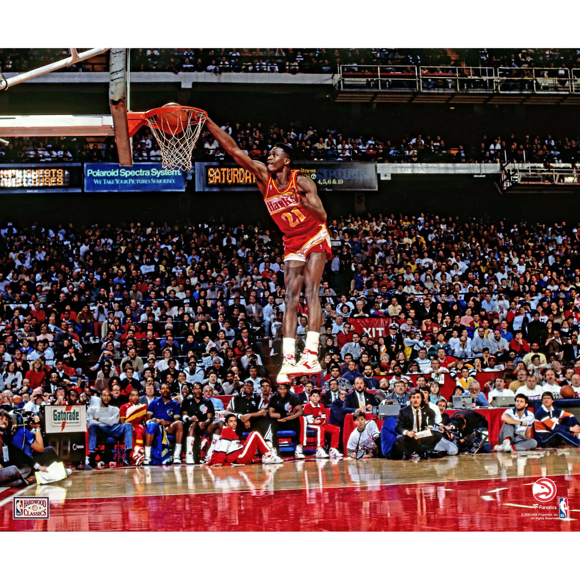 Dominique Wilkins Slam Dunk Basketball Photography Wallpaper