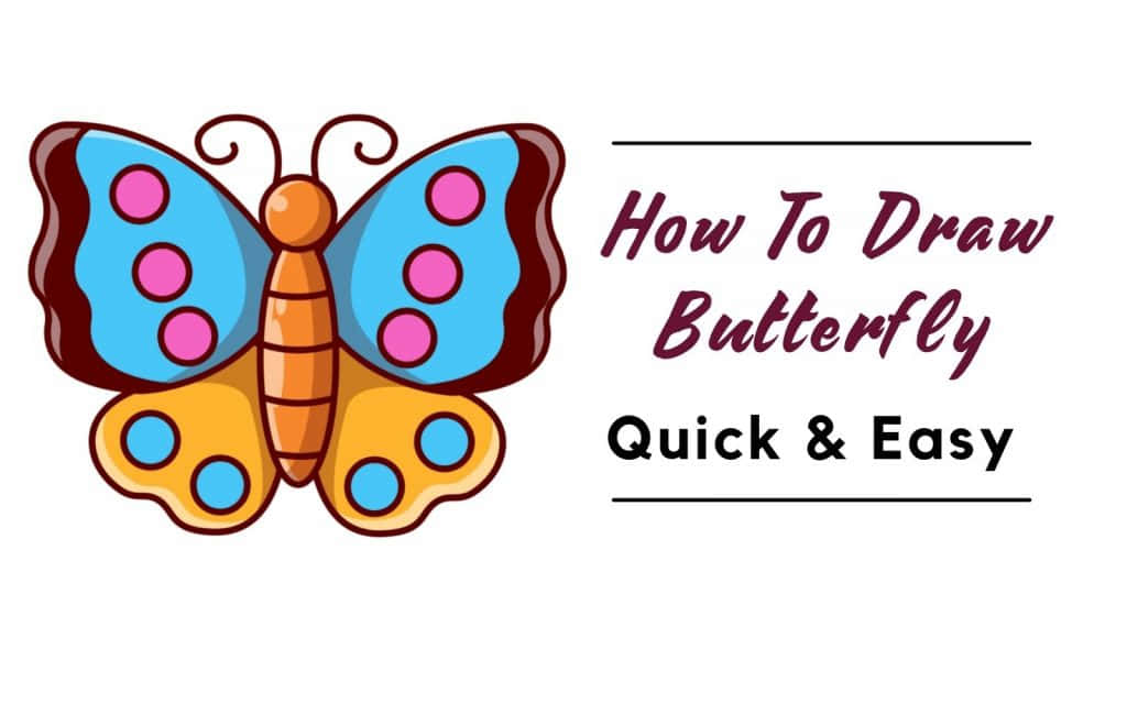 Butterfly Easy Drawing Coloring Activity Picture