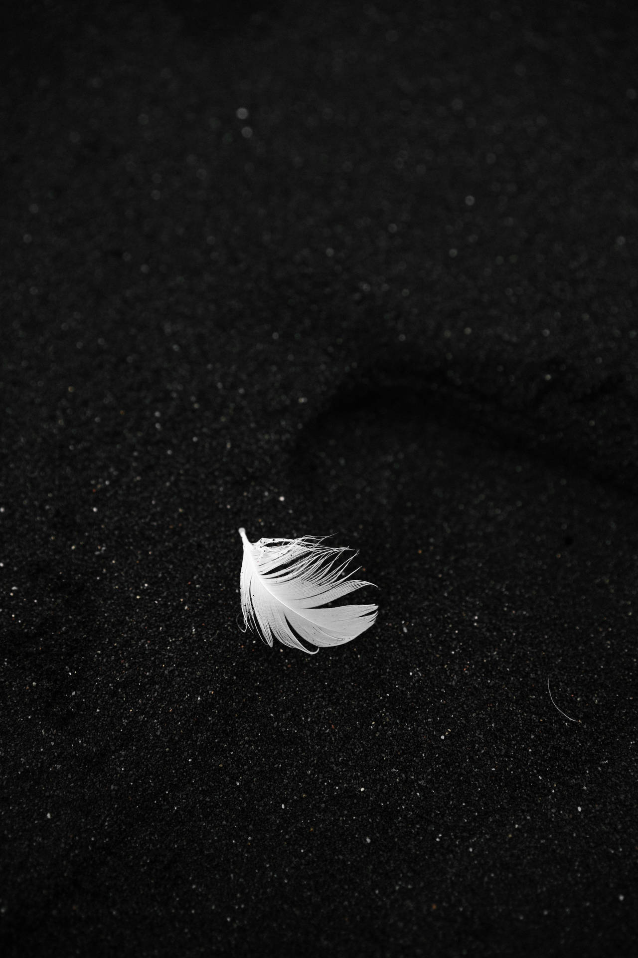 Feather Black Phone Wallpaper