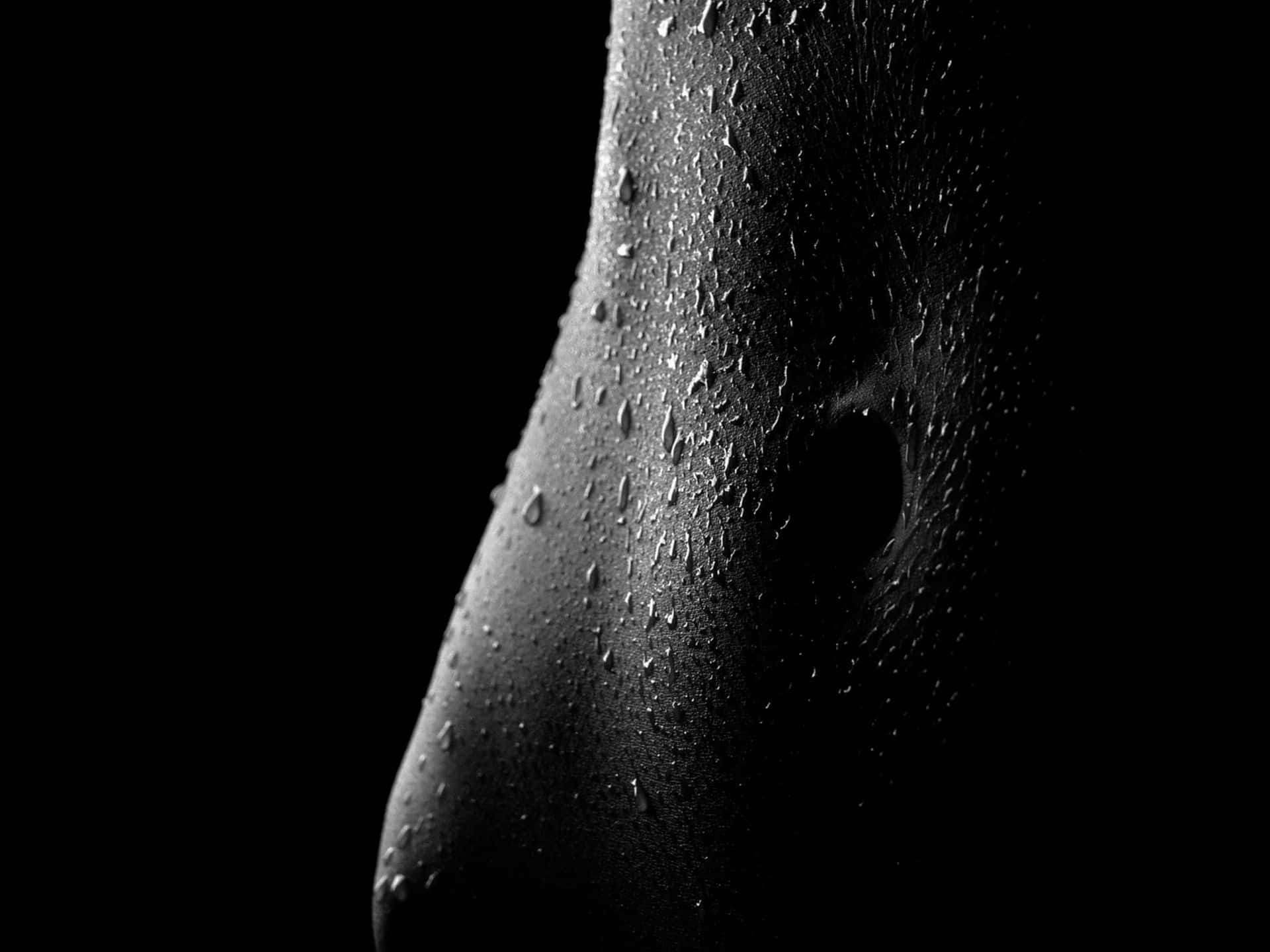 Female Body With Water Droplets Wallpaper
