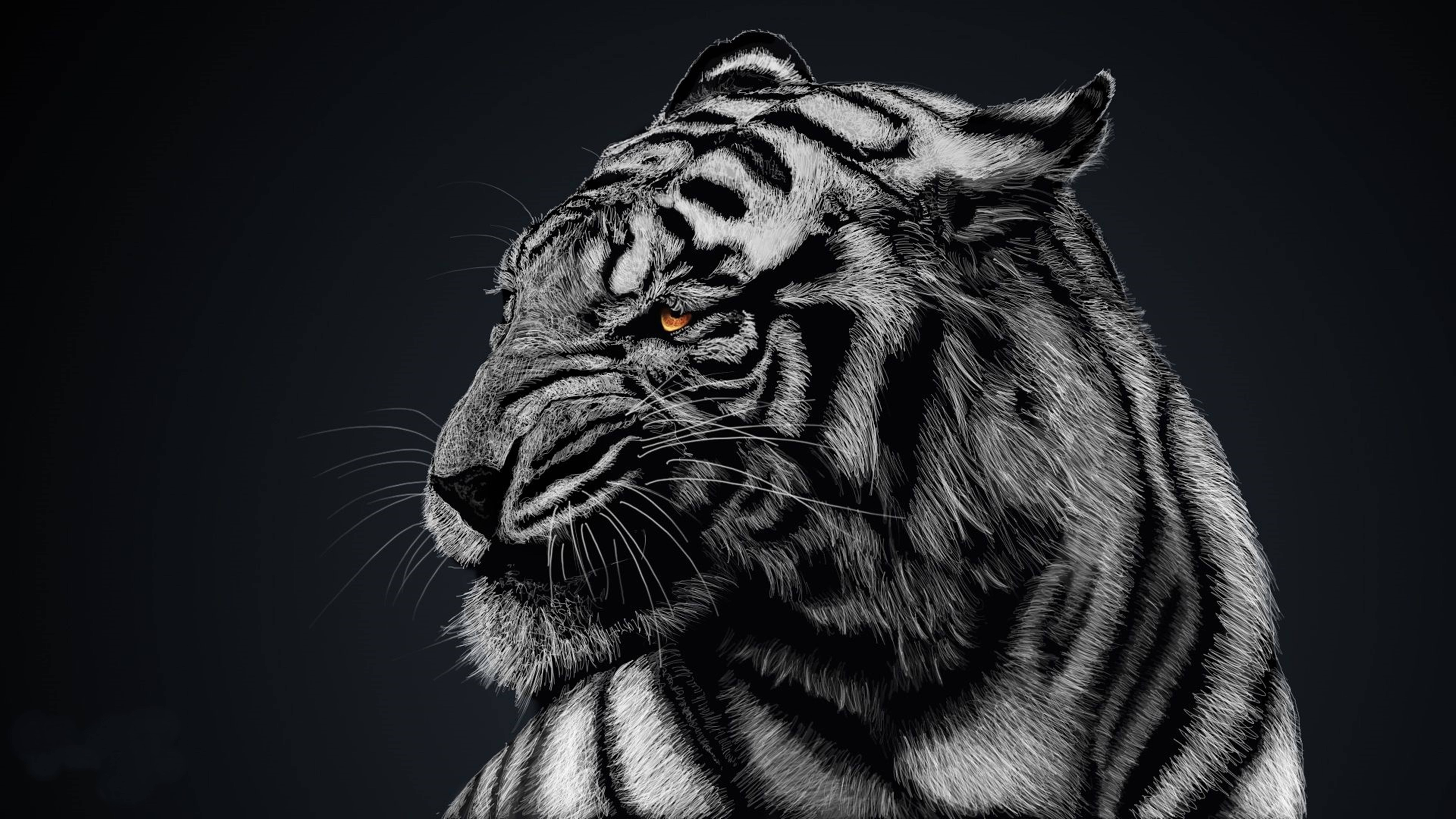 Majestic 8K Tiger in Ultra-High Definition Wallpaper