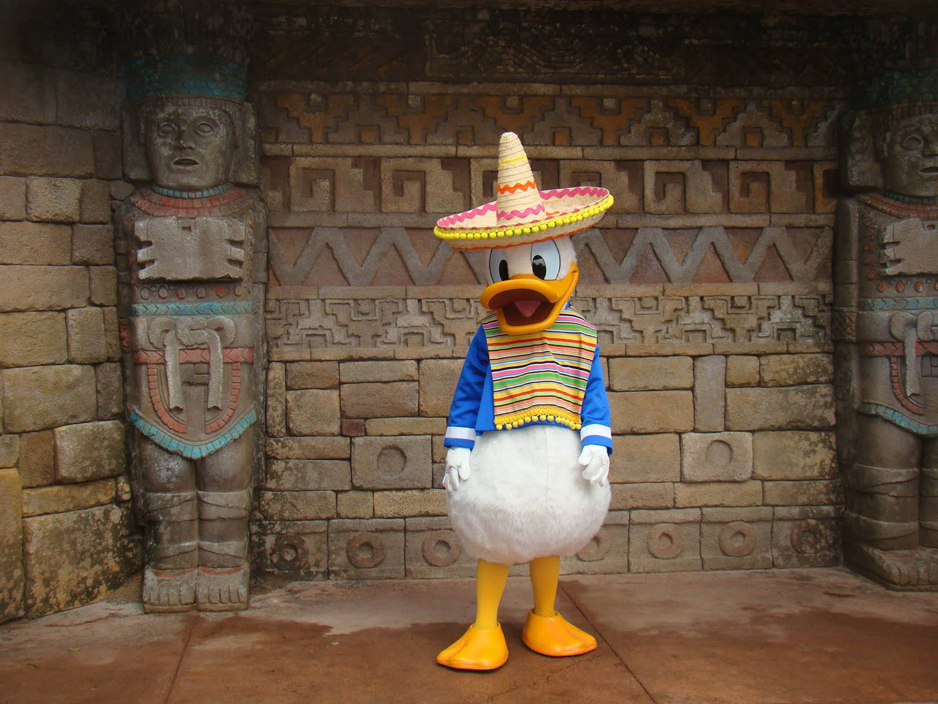 Fiesta Donald Duck Wallpaper