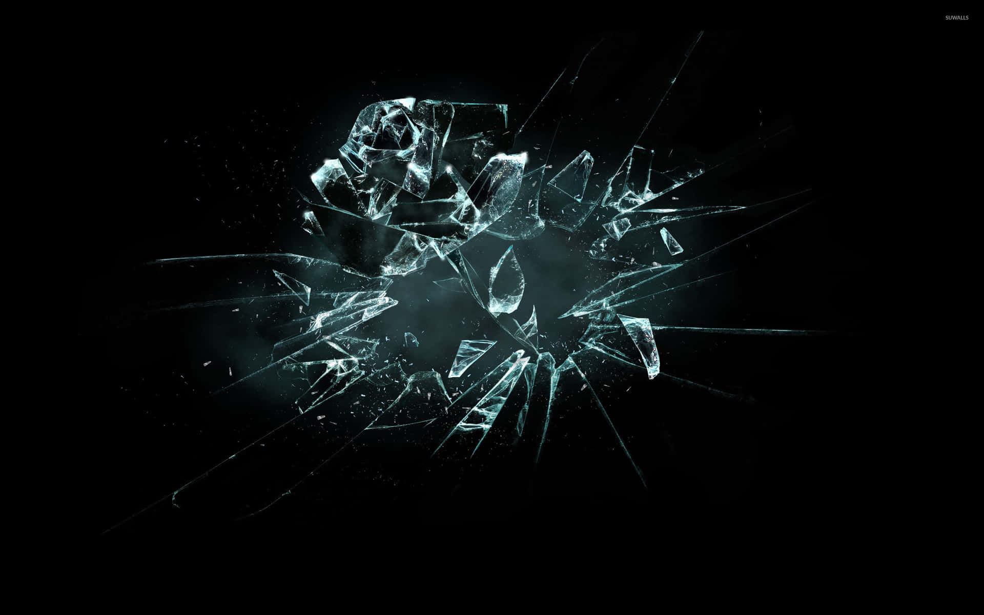Fracture Glass Shards Black Picture