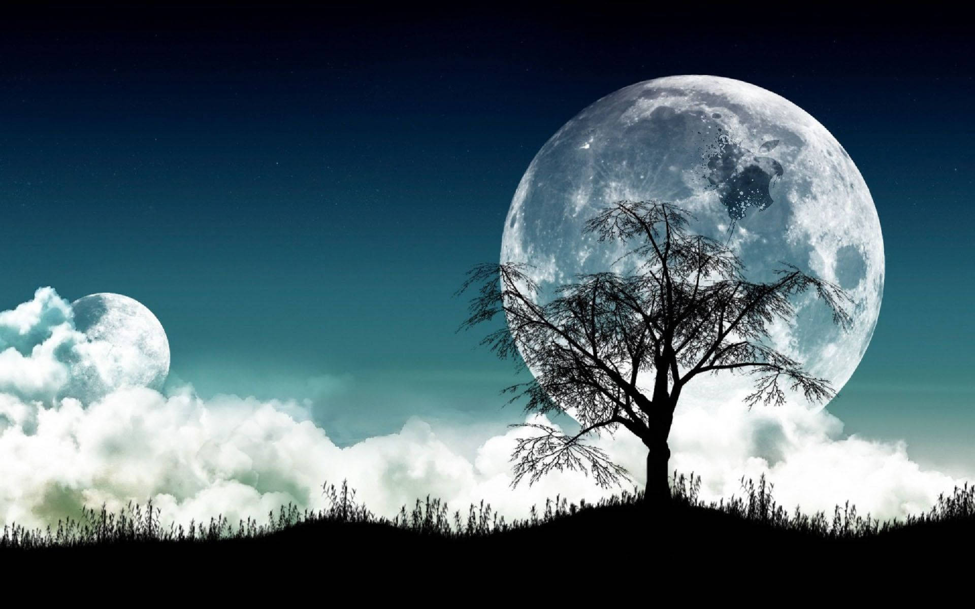 A Majestic Full Moon Shining High in the Night Sky Wallpaper