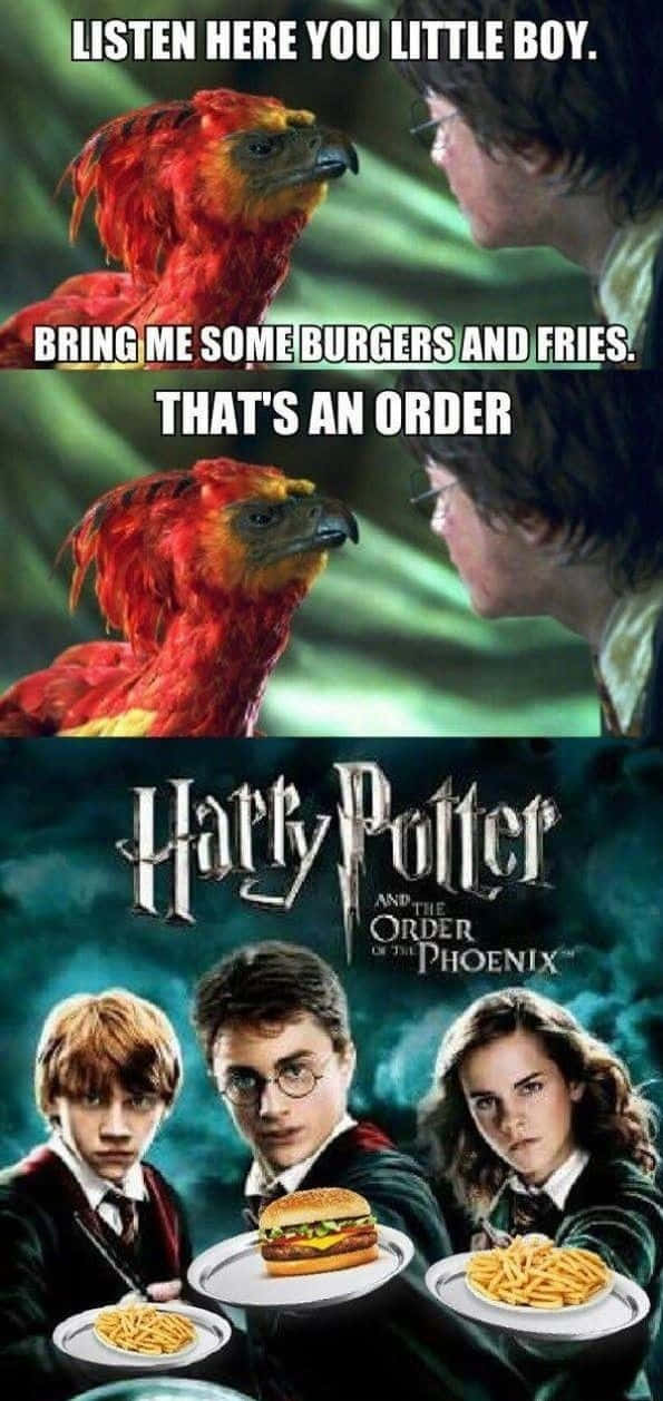 "Harry Potter's Humorous Adventures at Hogwarts" Wallpaper