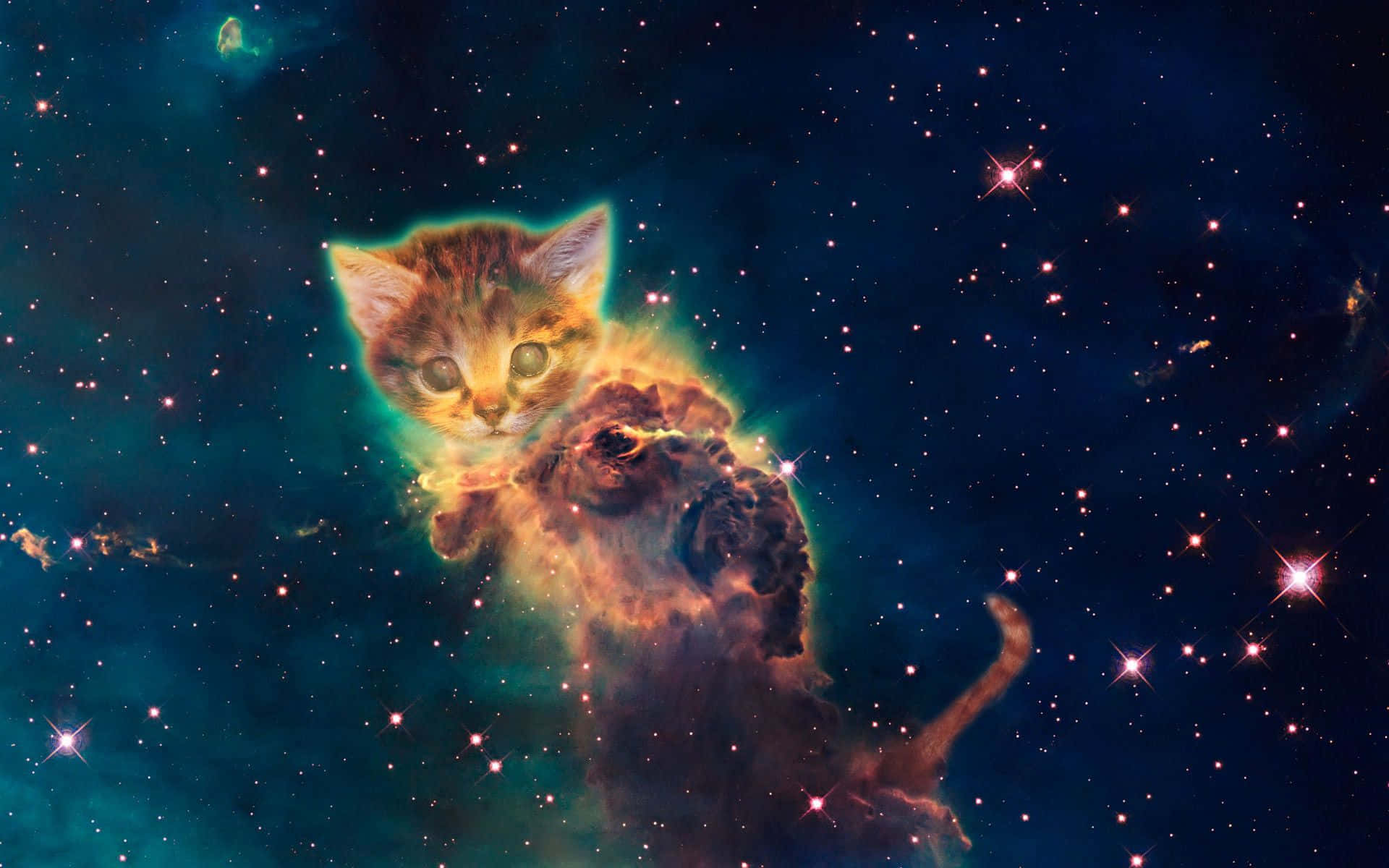 Galaxy Nebula Forming Cat Wallpaper