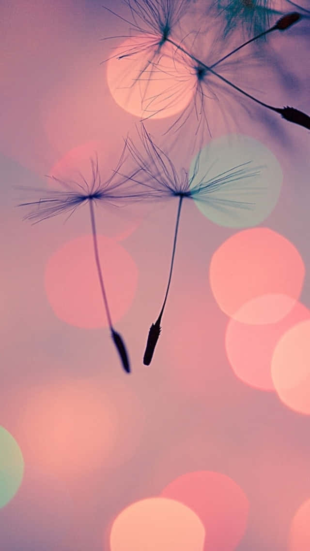 Customize the look of your device with a fun girly lock screen. Wallpaper