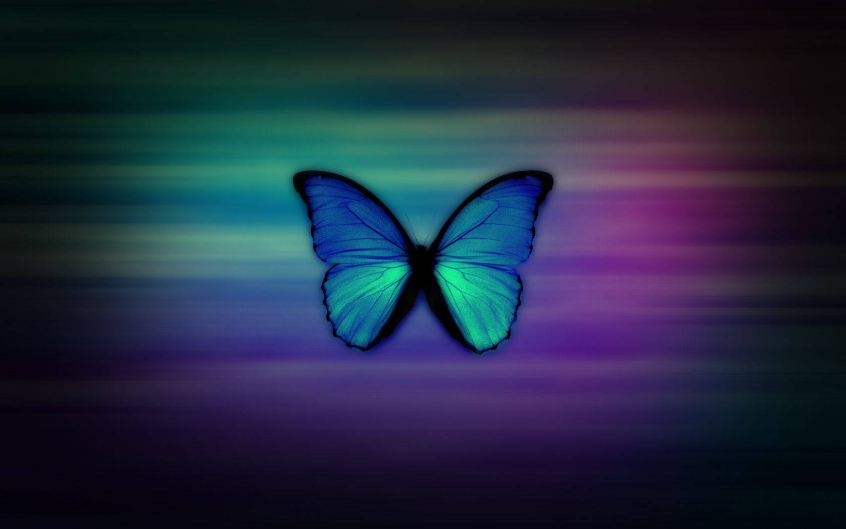 Illuminate Your Style With This Neon Purple&Blue Butterfly Wallpaper