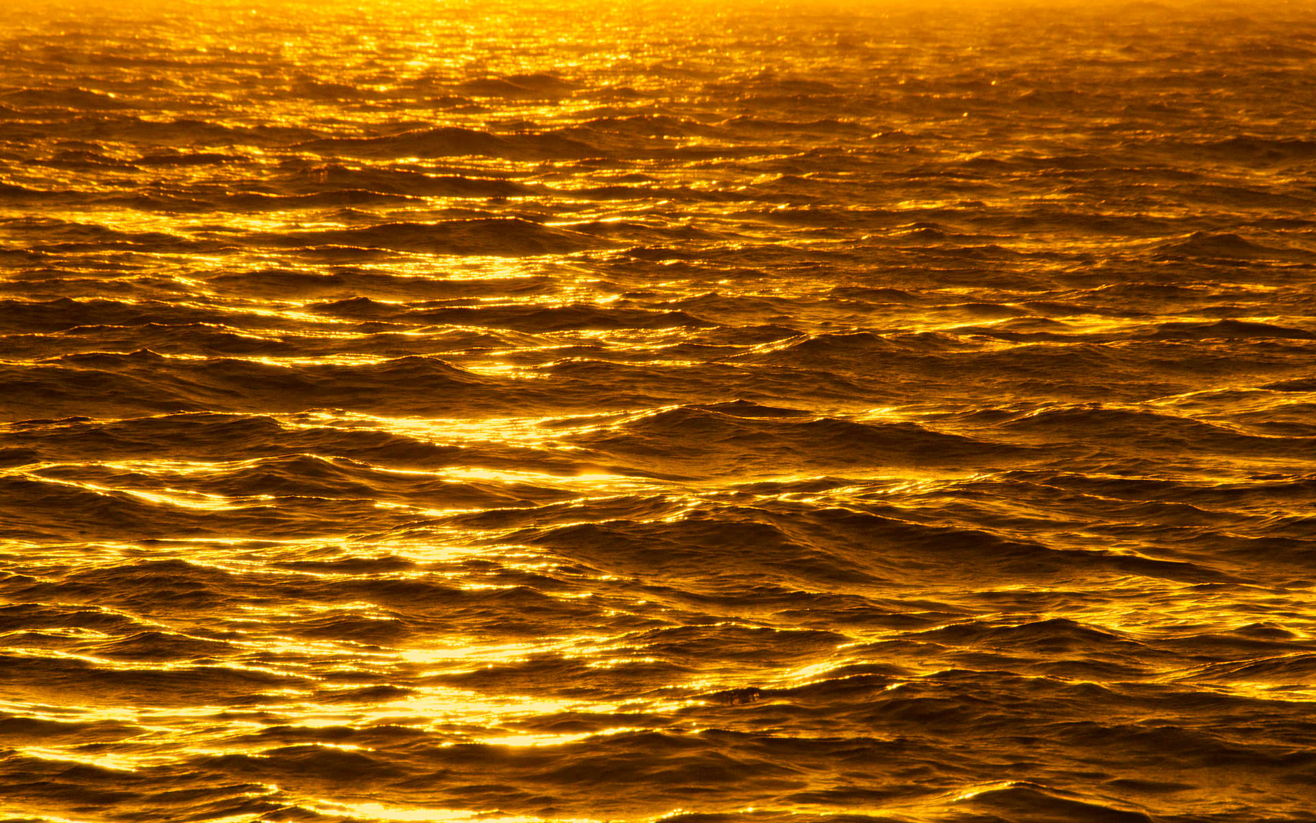 Gold Foil Ocean Wallpaper