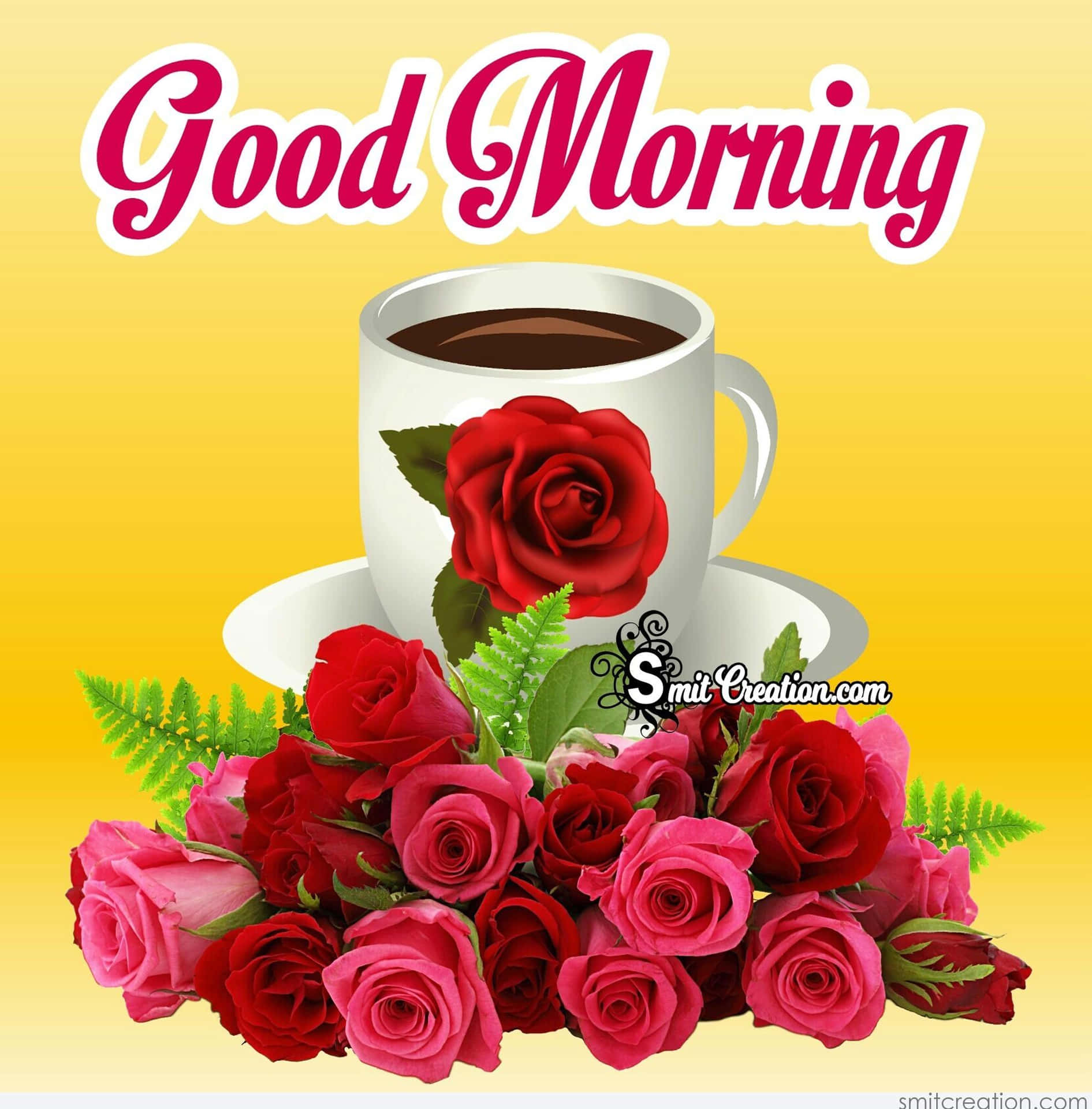 Good Morning Coffee Flower Pictures