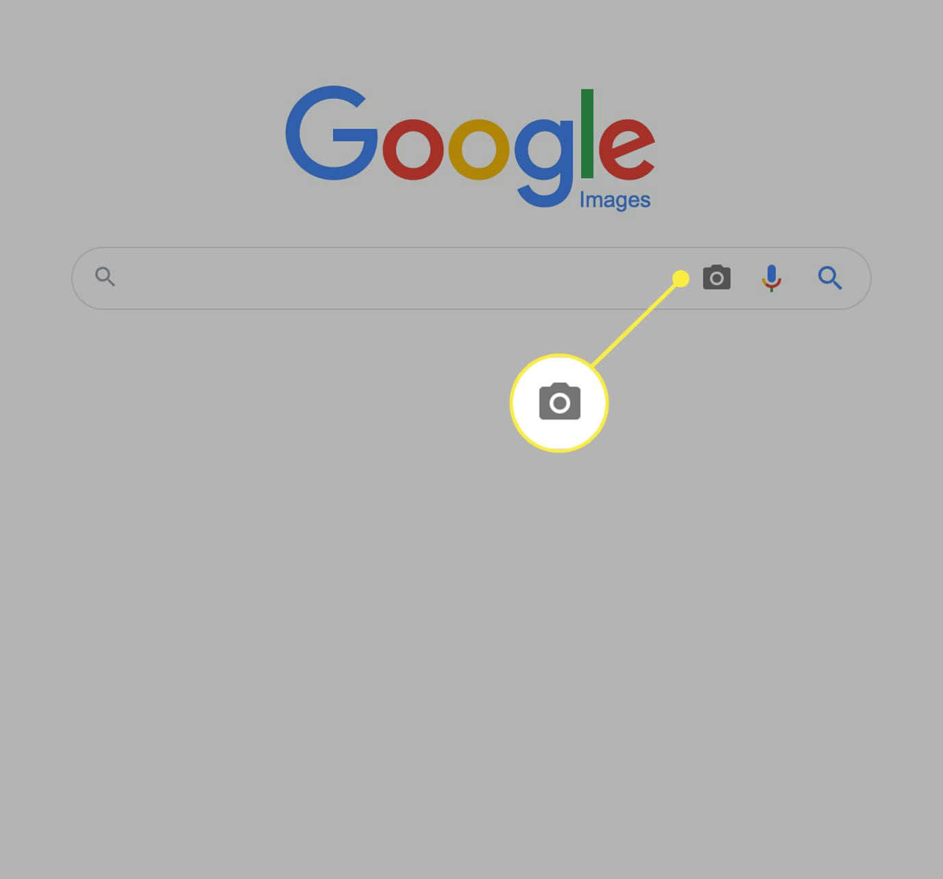 Google Search By Photo Picture