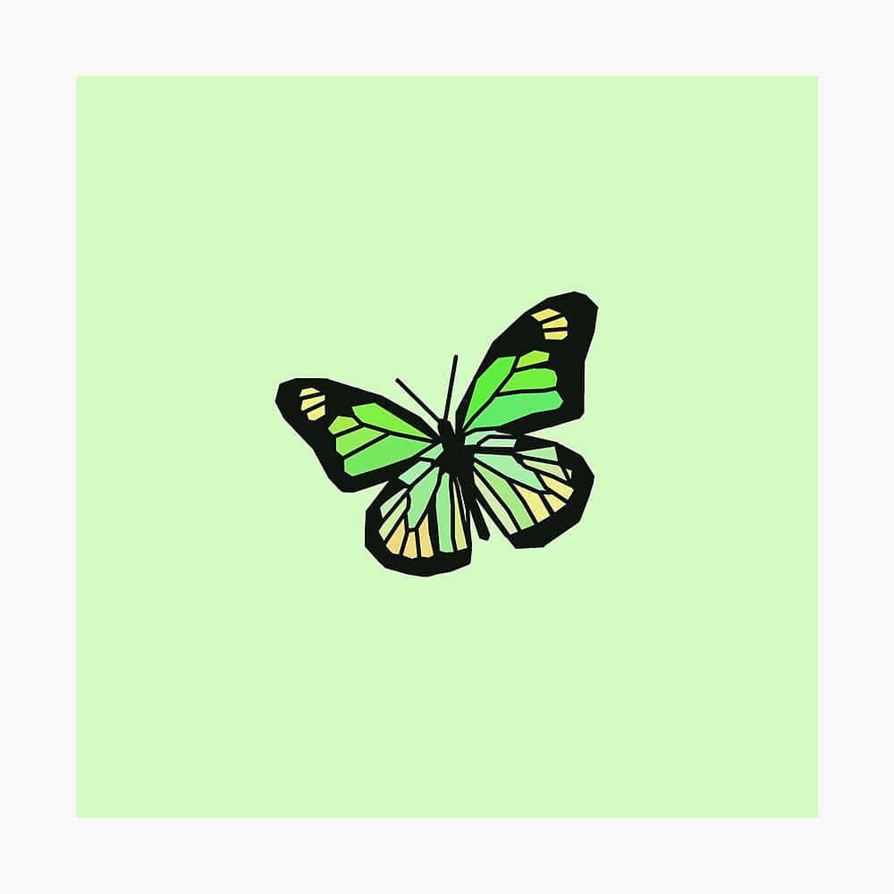 A brilliant green butterfly flutters in the sunlight Wallpaper