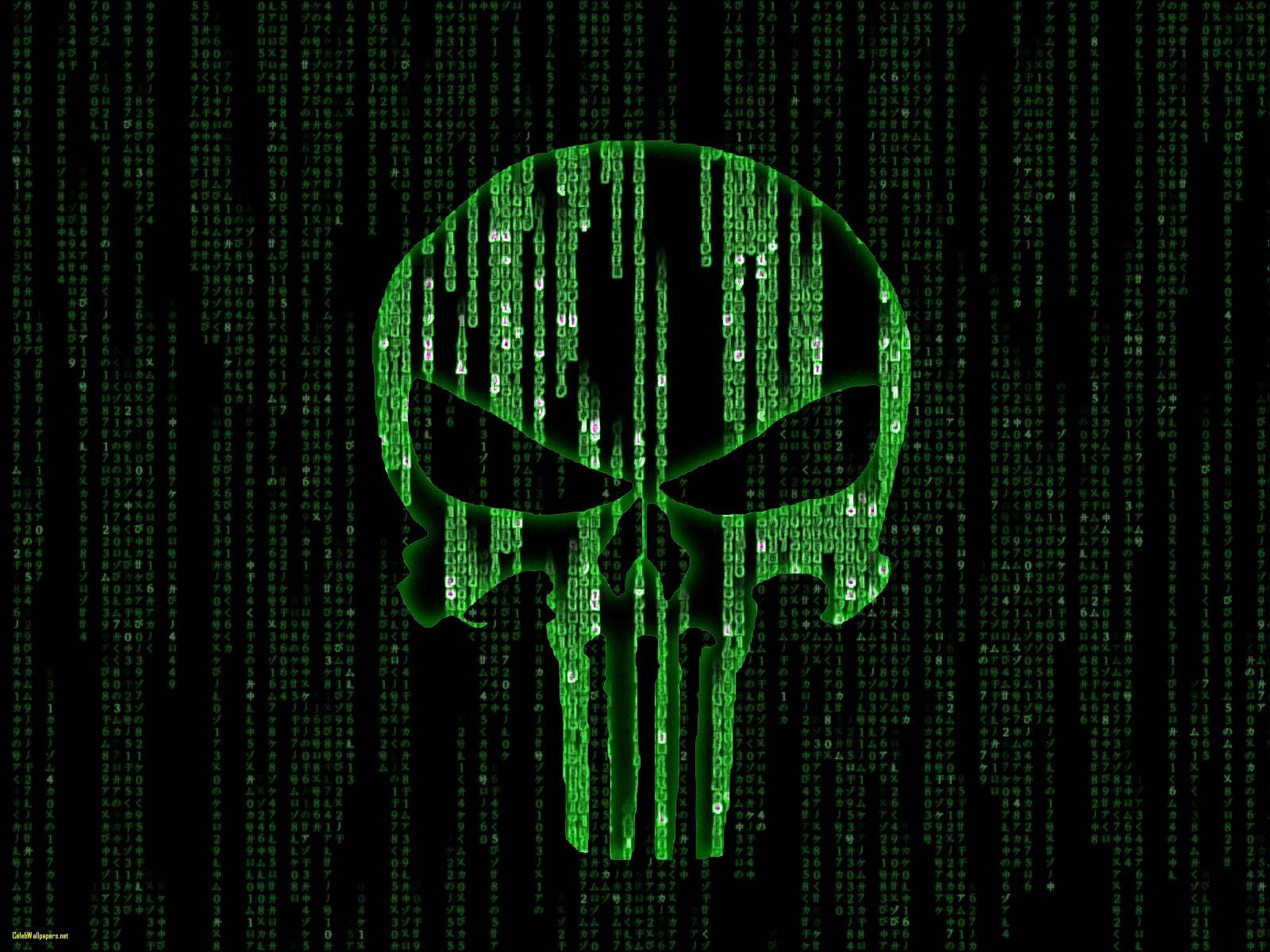 The Punisher symbol surrounded by a green matrix Wallpaper