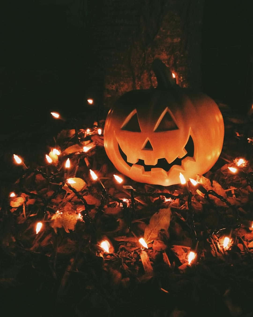 Halloween Fall Pumpkin Lights Picture