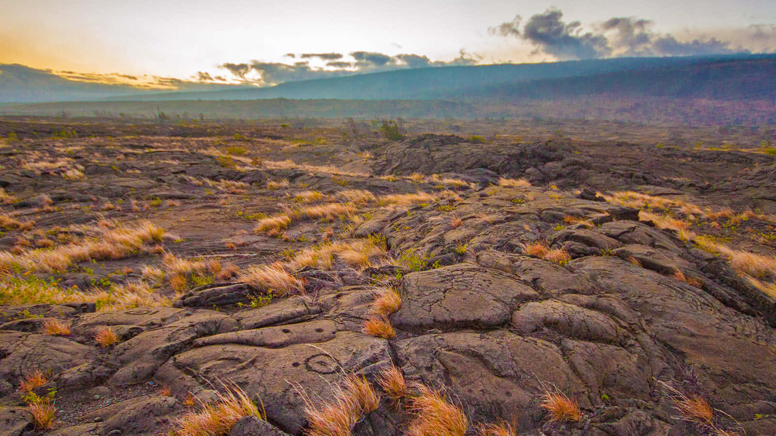 Marvelous View of Pu'u Loa Rock Art in Hawaii Volcanoes National Park Wallpaper