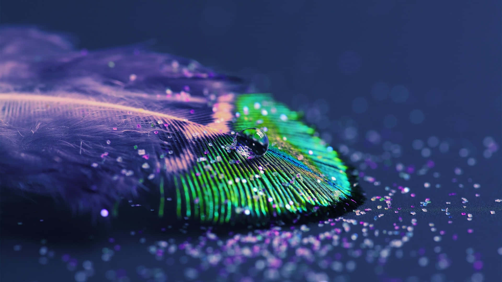 a purple feather with glitter on it