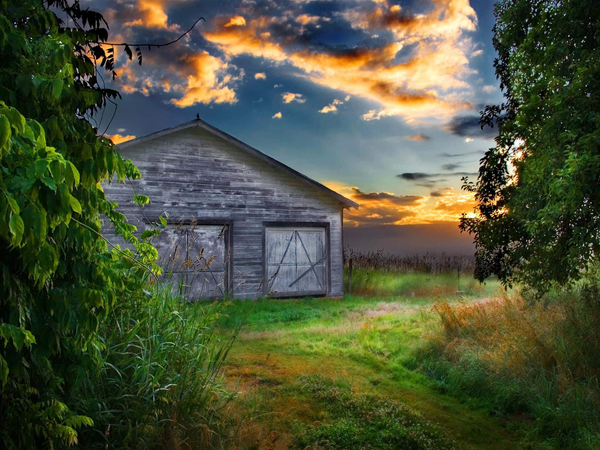 Hidden Old Barn Under Sunset Wallpaper