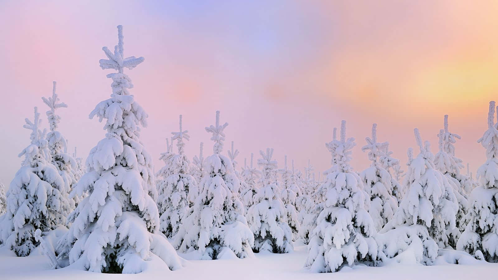 Stunning Winter Scene of Fresh High Resolution Snow