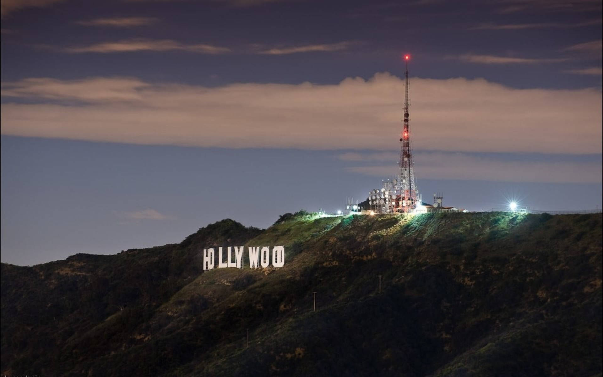 Hollywood LA Night View Wallpaper