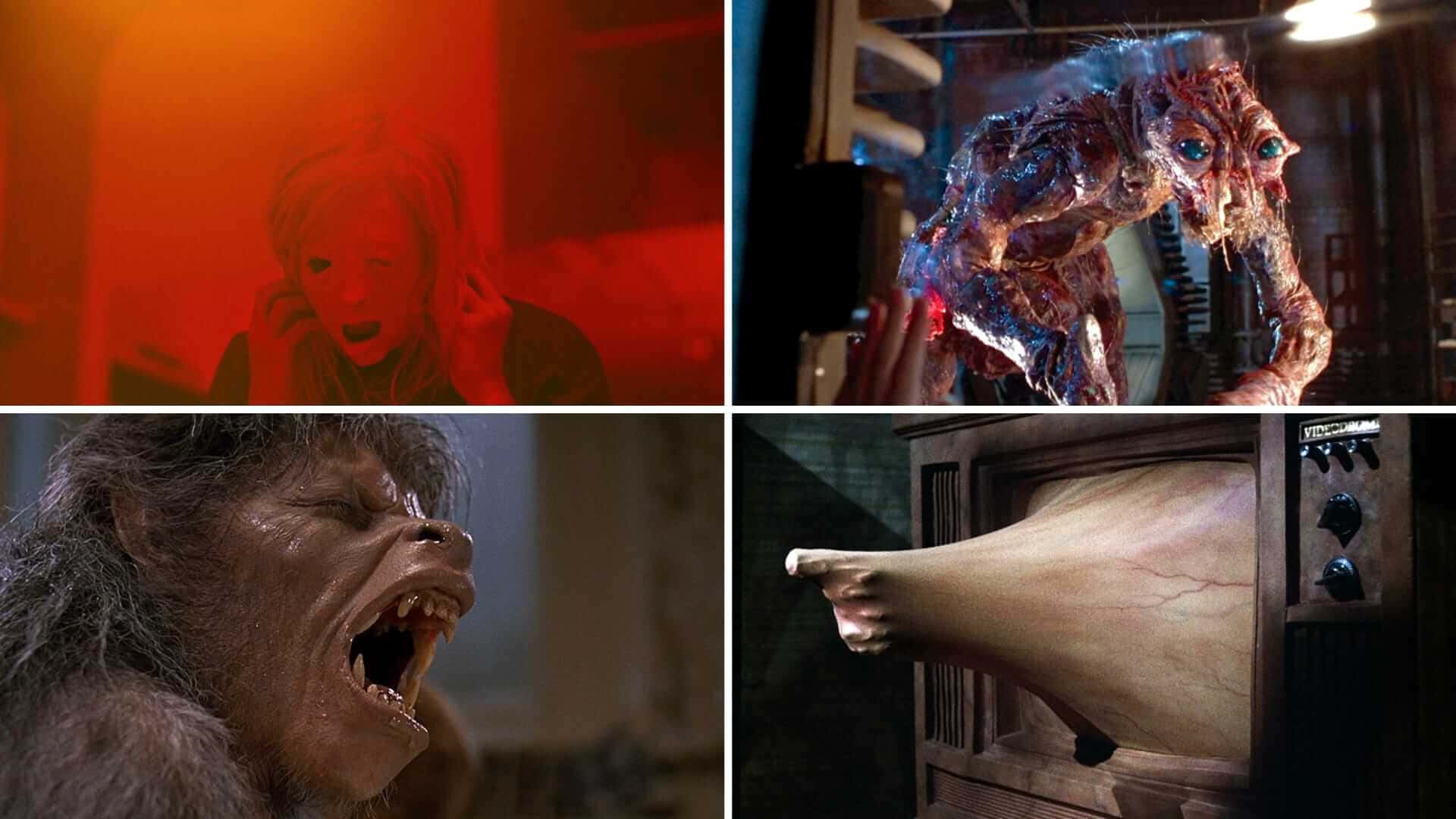 The Fly Horror Picture