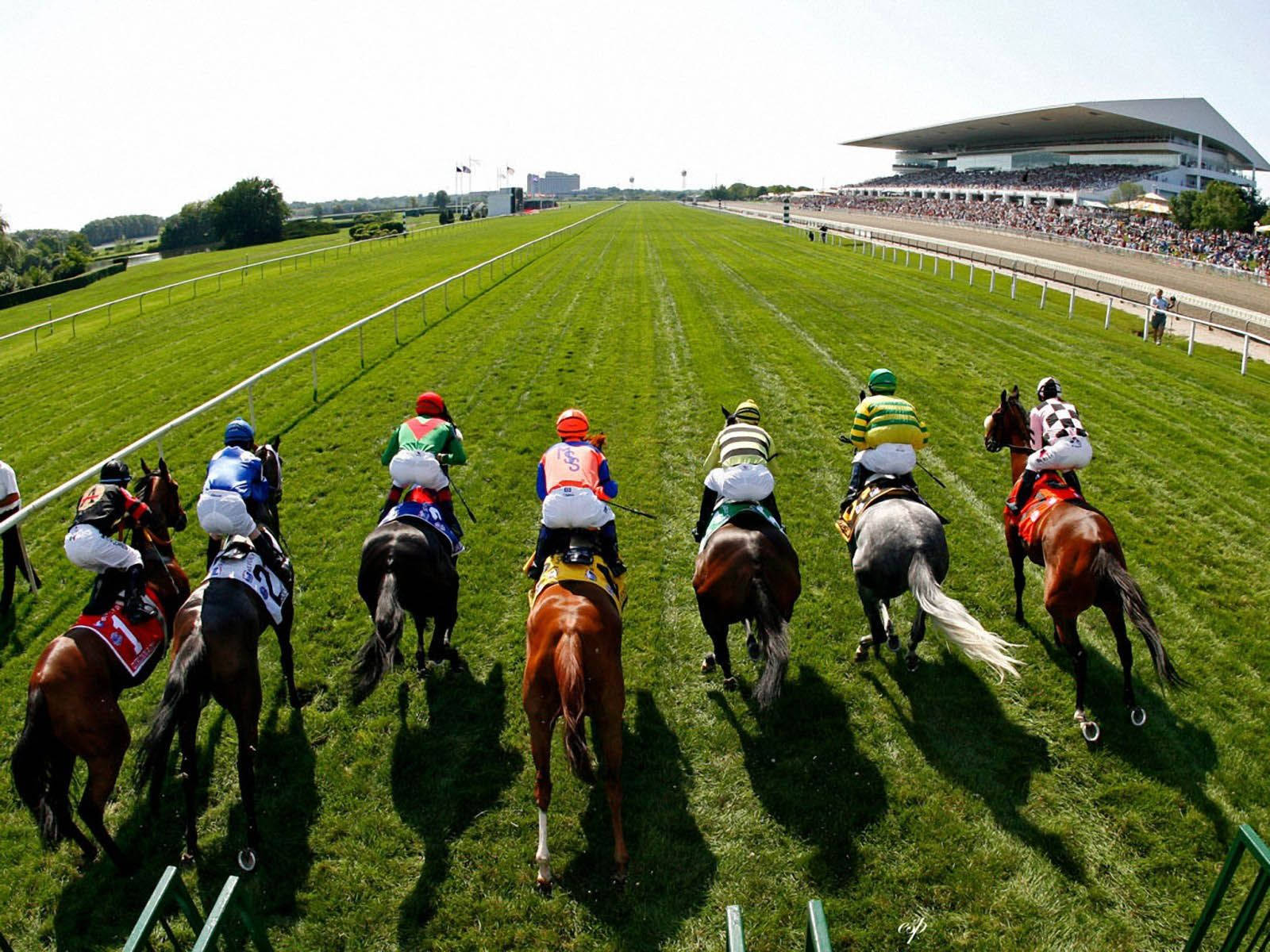 Horse Racing On A Long Field Wallpaper