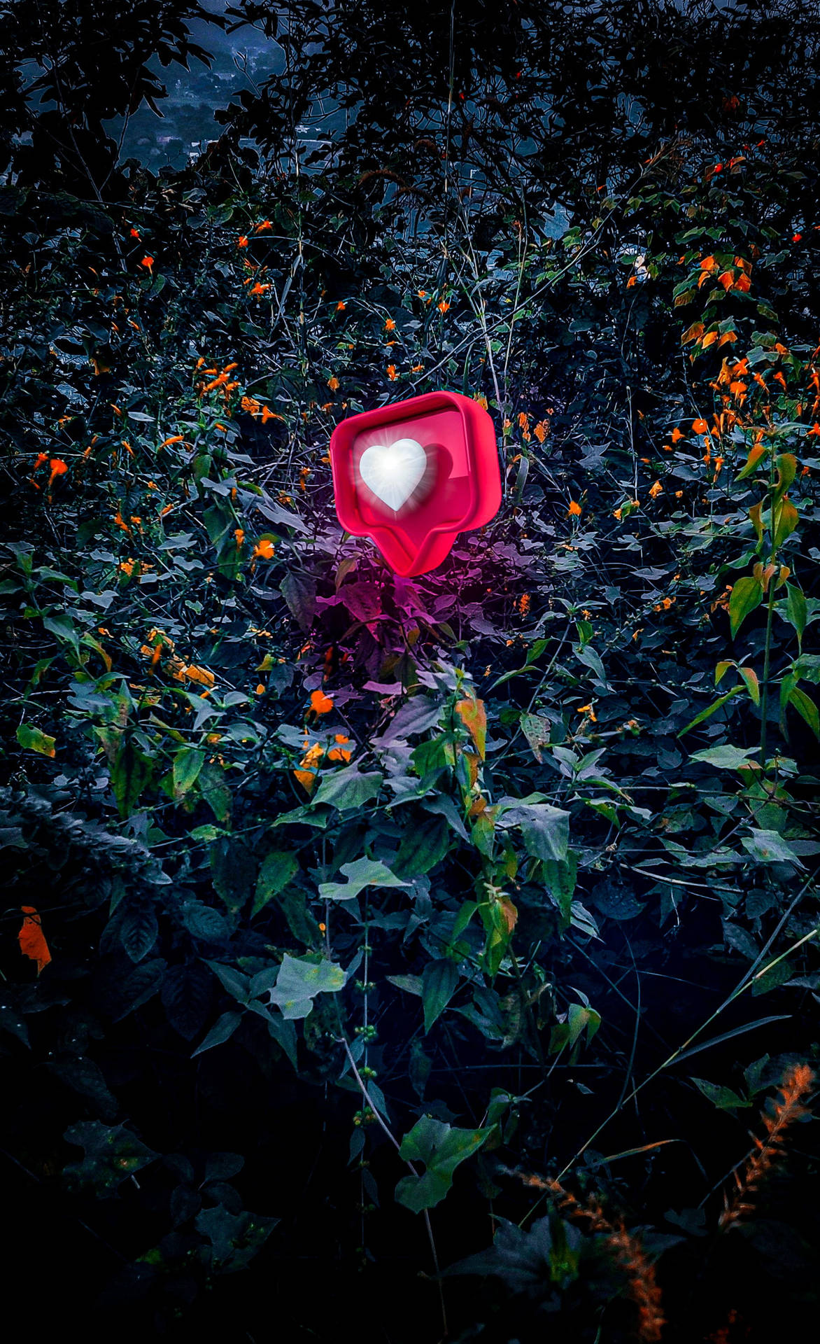 Instagram Heart Icon Picsart Wallpaper
