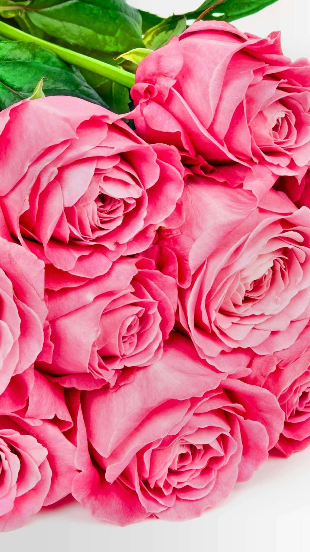 Pink Aesthetic Iphone X Roses Background
