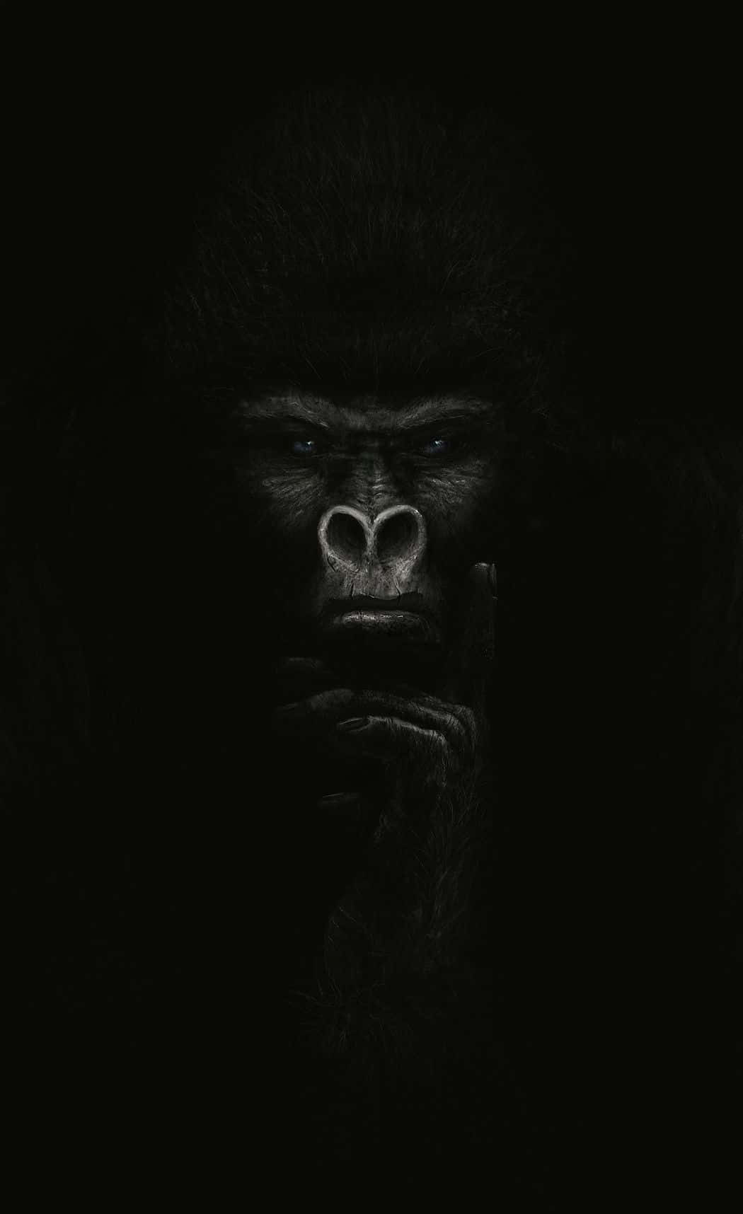 Iphone Xs Gorilla Background Black And White Photo