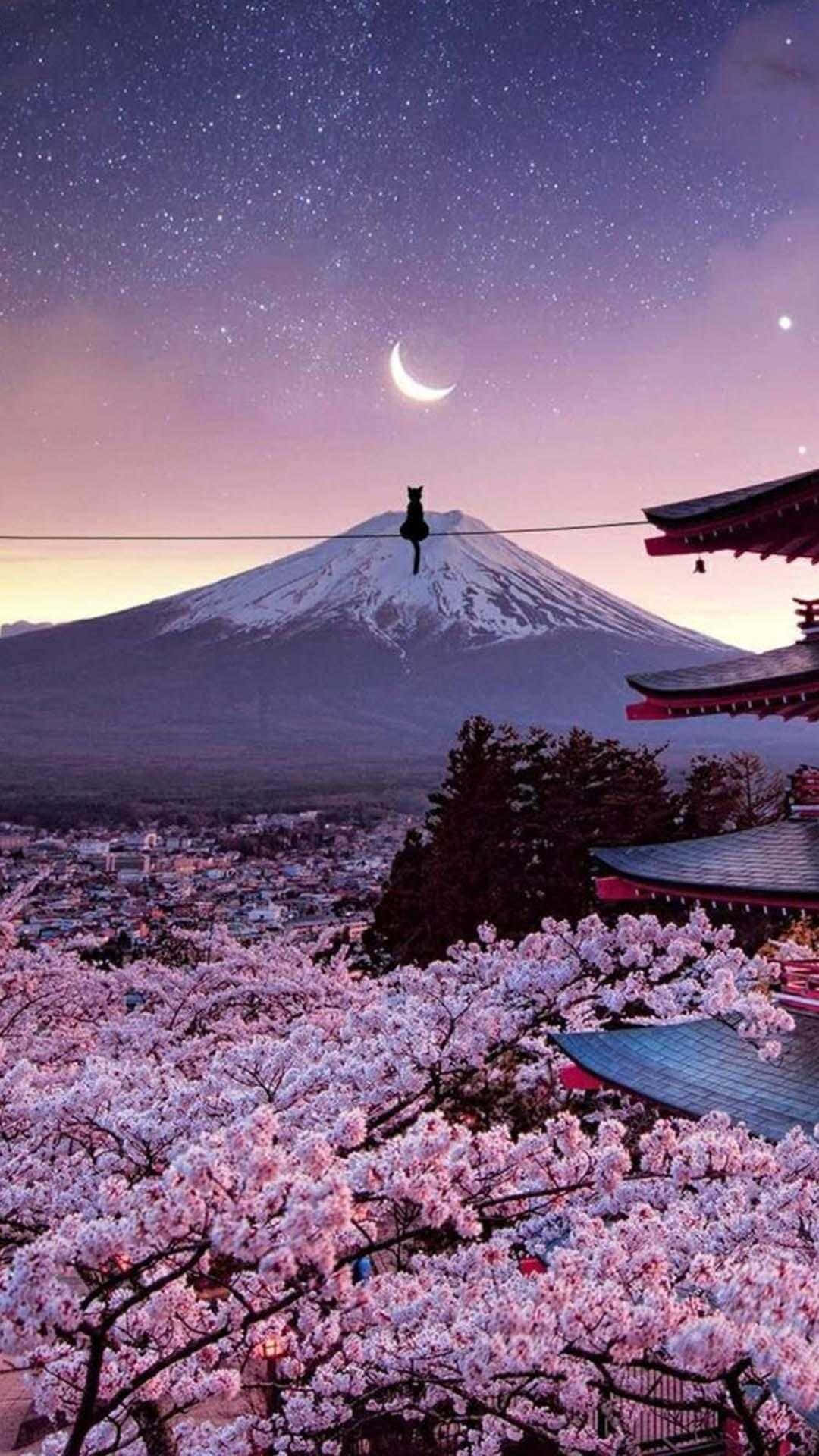 Mount Fuji And Cherry Blossoms Japanese Iphone Wallpaper