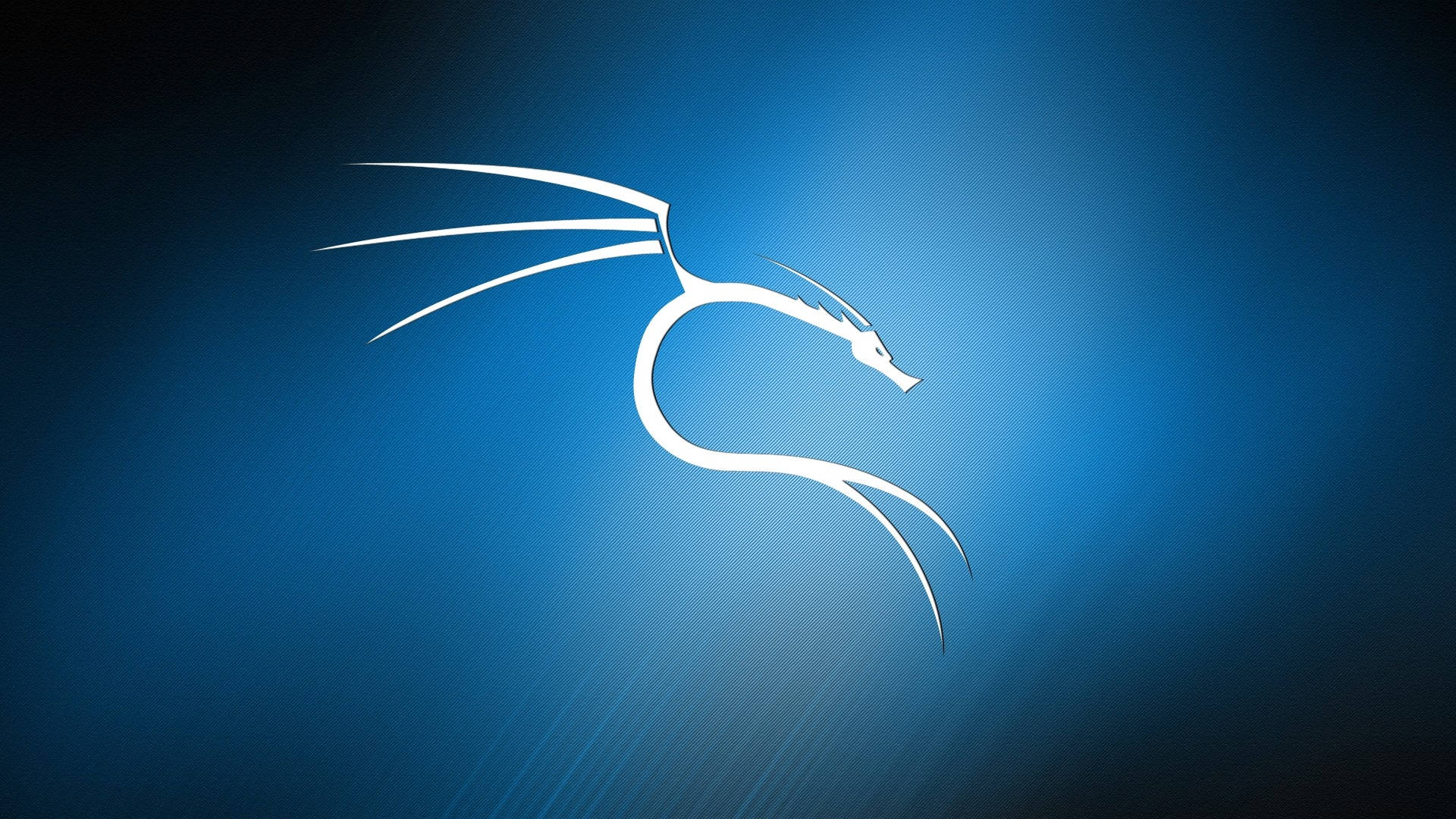 Kali Linux OS Dragon Blue Wallpaper